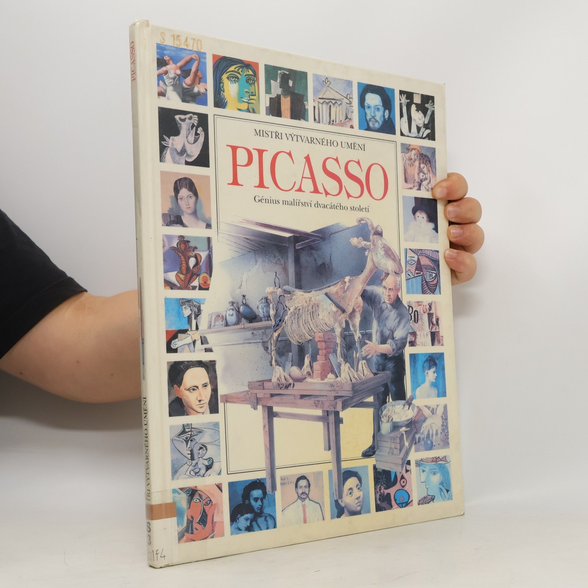 Autorenkollektiv Mistři výtvarného umění: Picasso