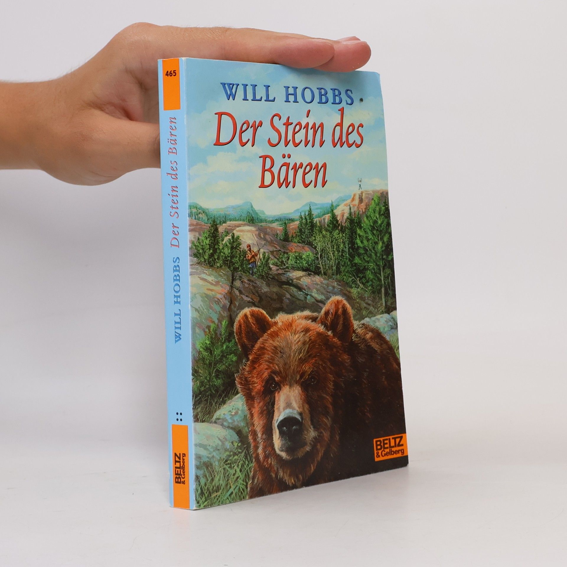 Will Hobbs Der Stein des Bären