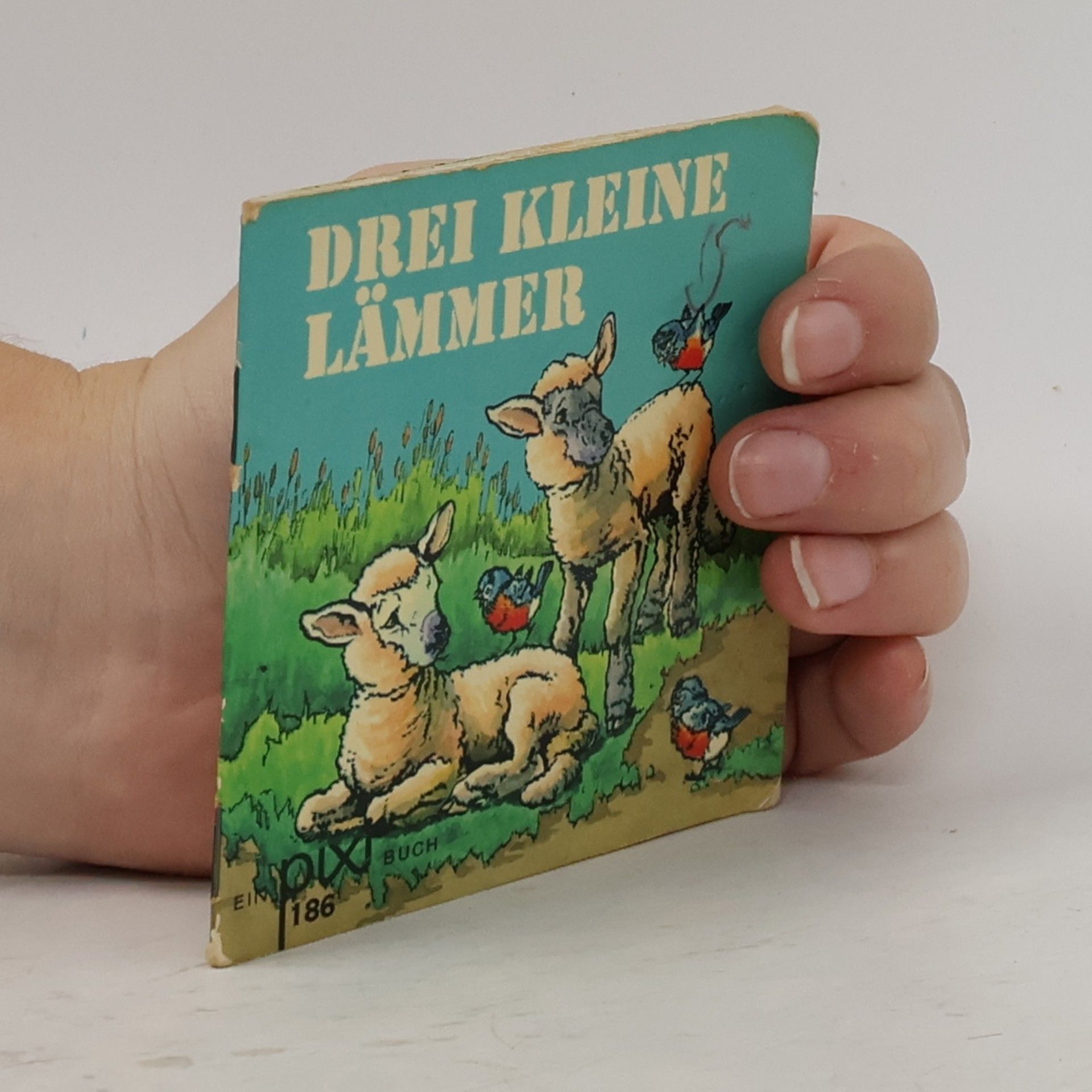 kolektiv Drei kleine Lämmer