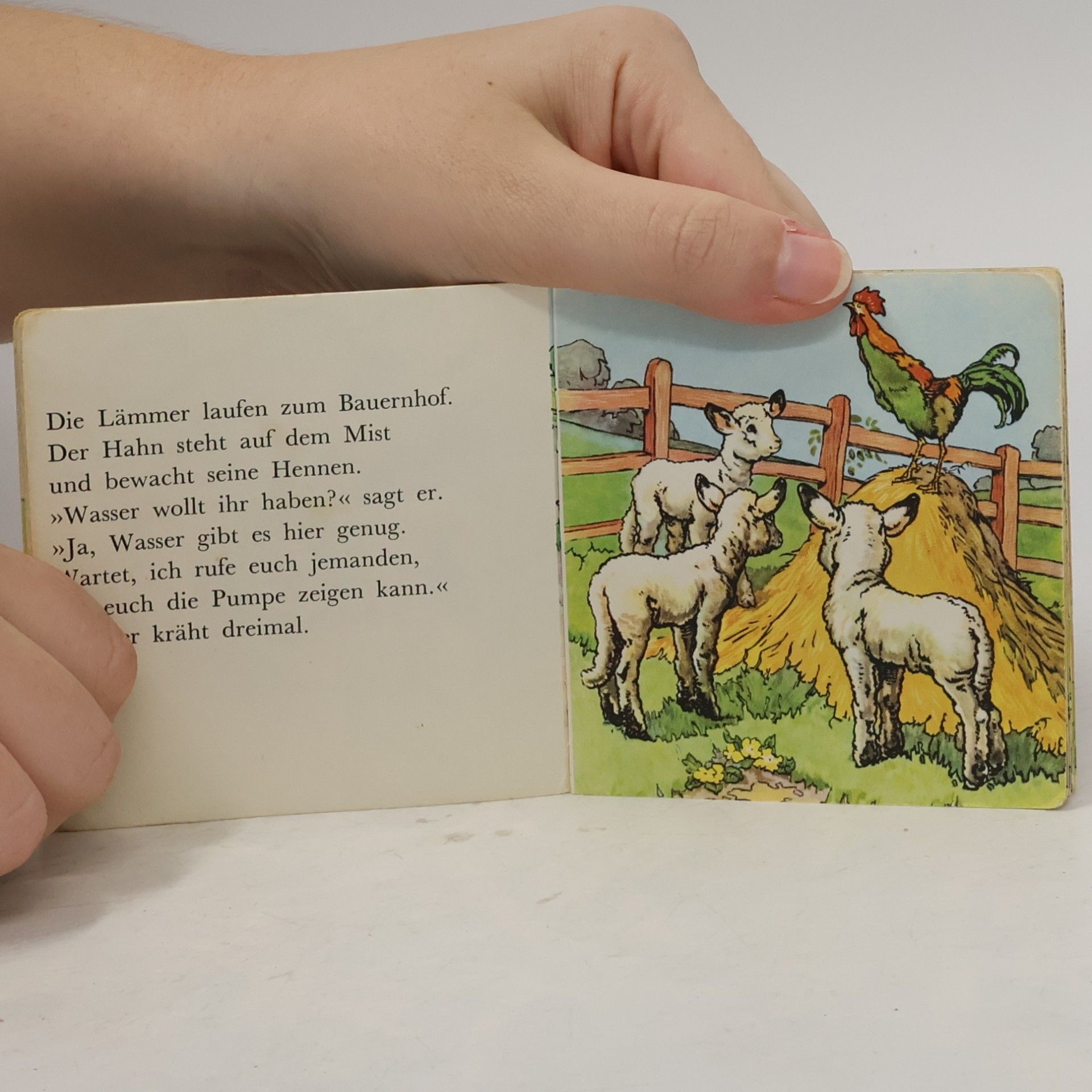 Autorenkollektiv Drei kleine Lämmer