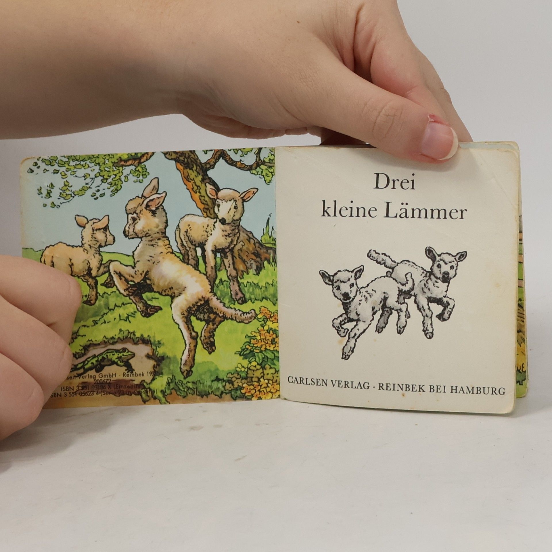 Autorenkollektiv Drei kleine Lämmer