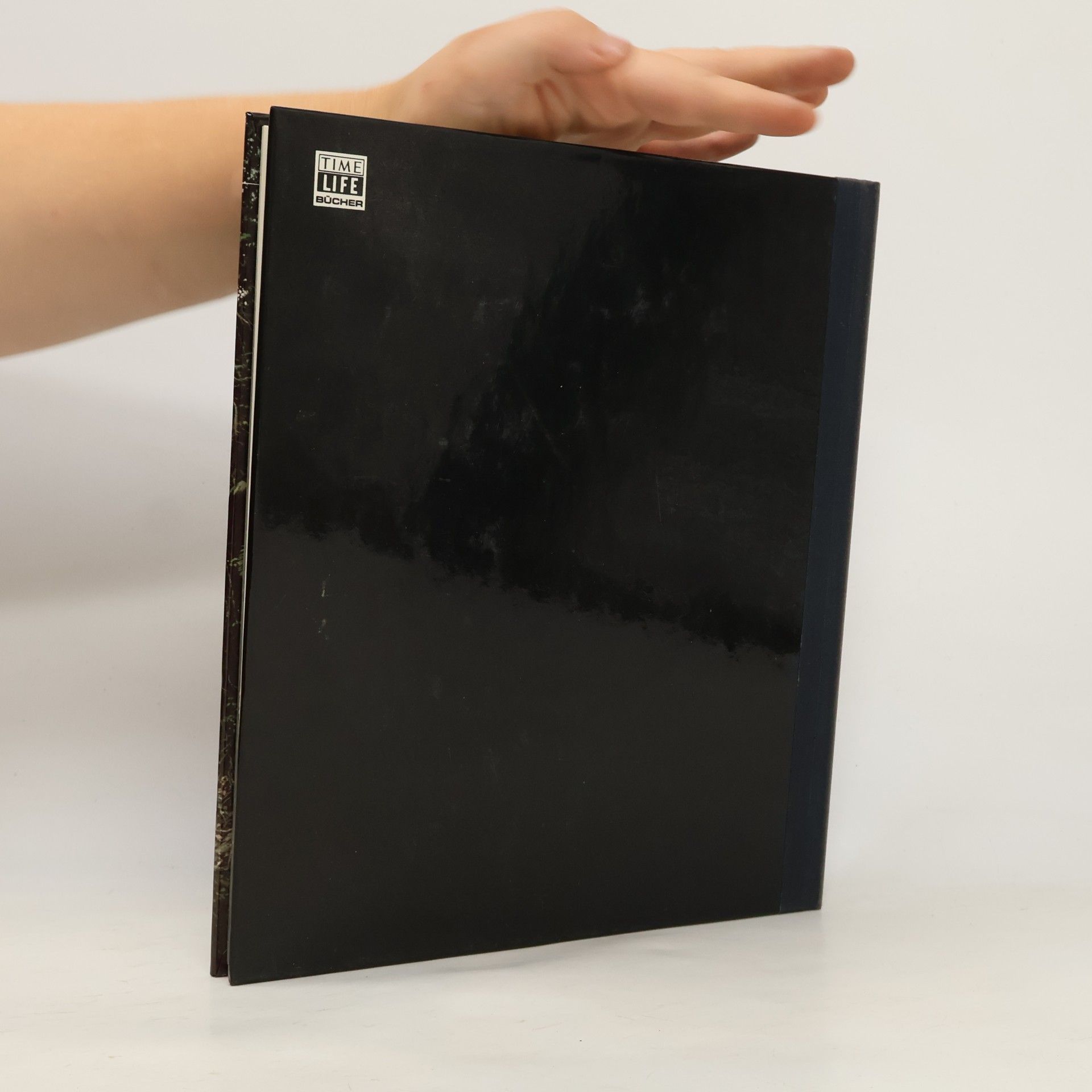 Various authors Die Dschungel Mittelamerikas