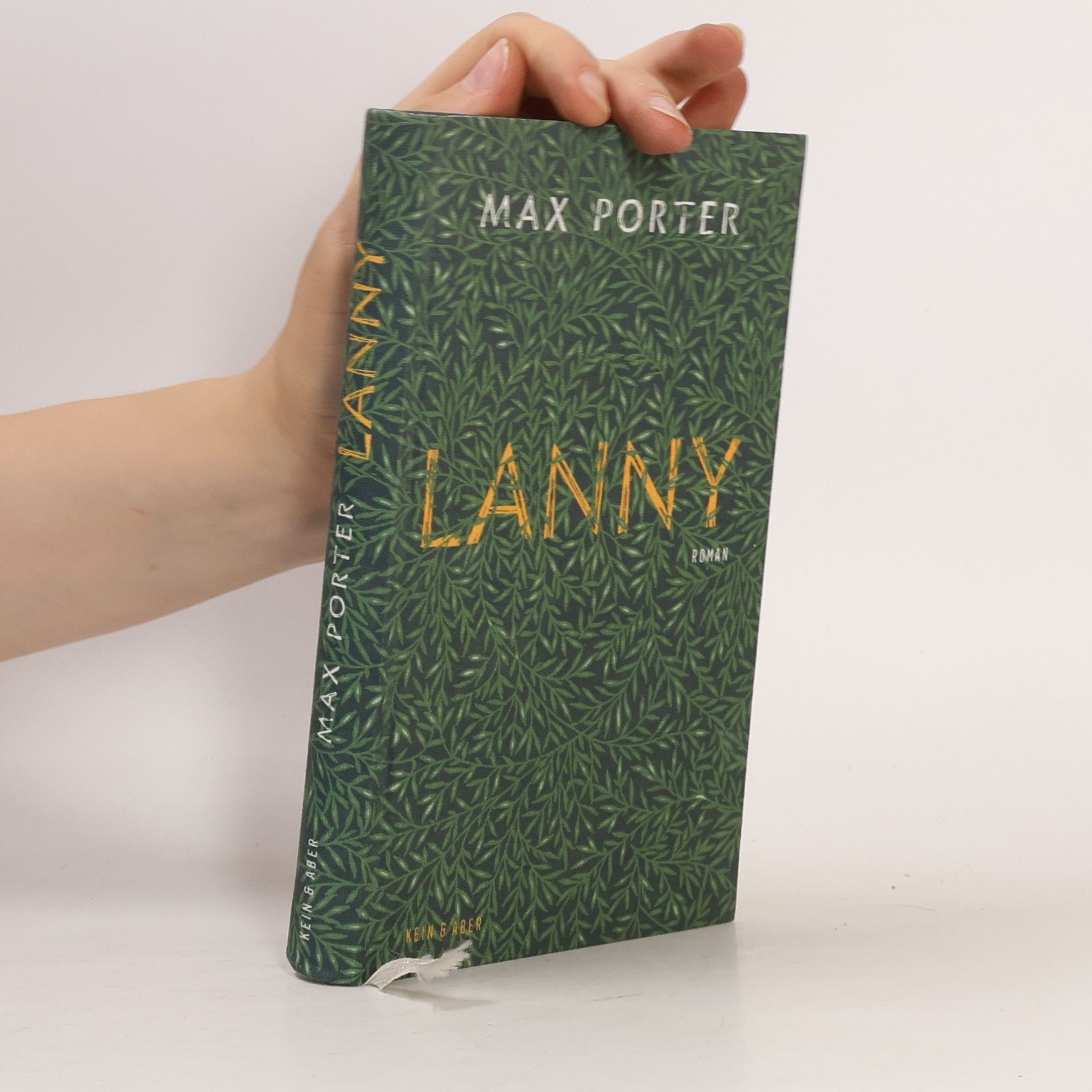 Max Porter Lanny