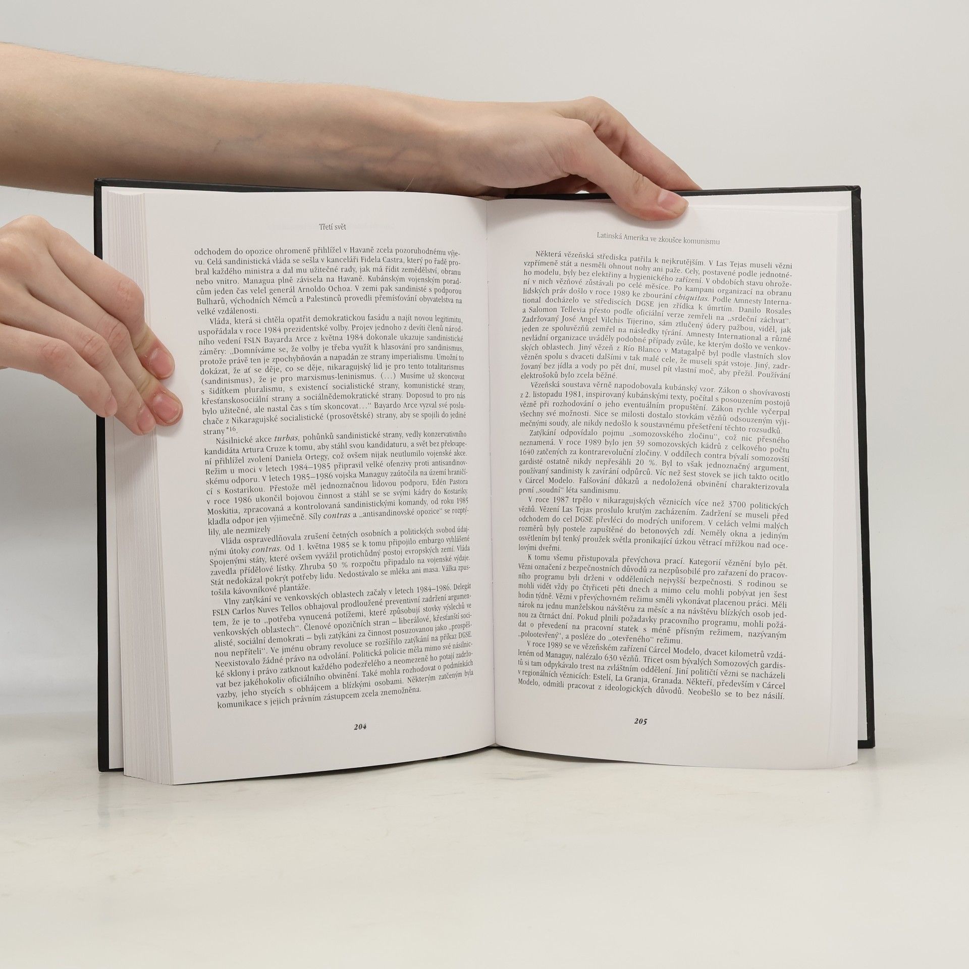Autorenkollektiv Černá kniha komunismu. Zločiny, teror, represe. II. díl