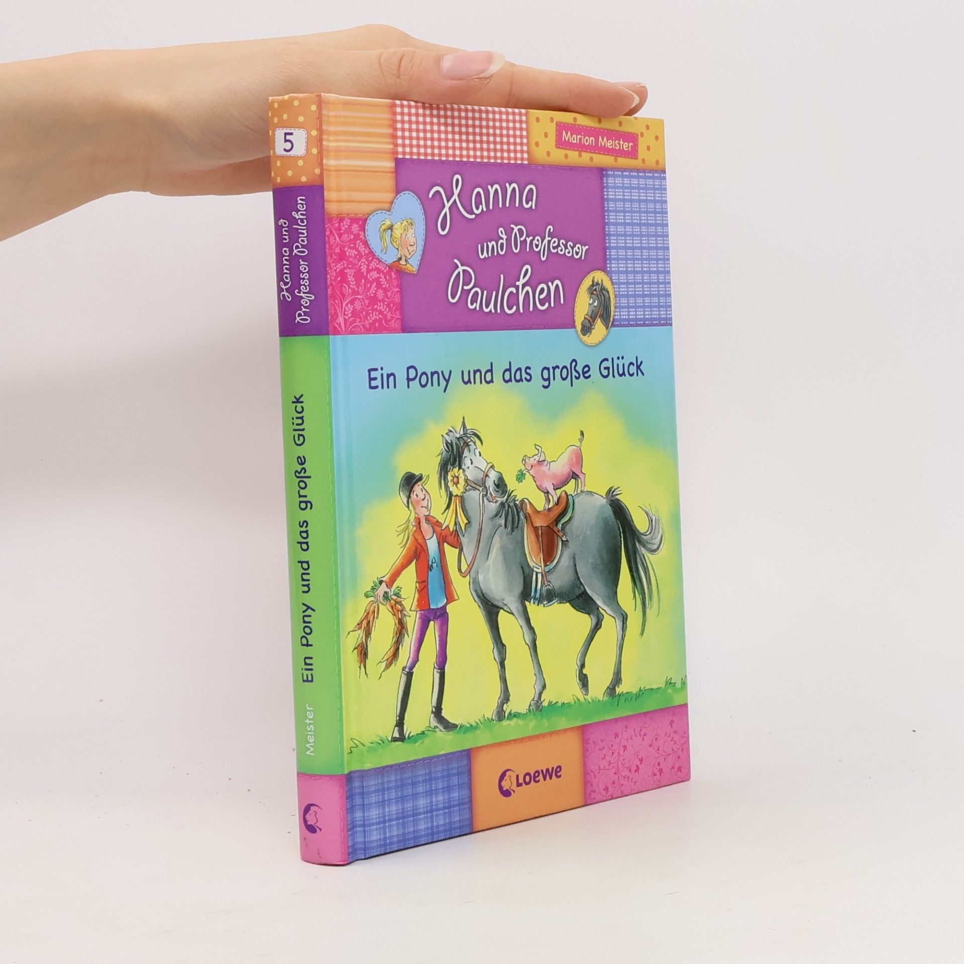 Marion Meister Hanna und Professor Paulchen 05. Ein Pony und das große Glück
