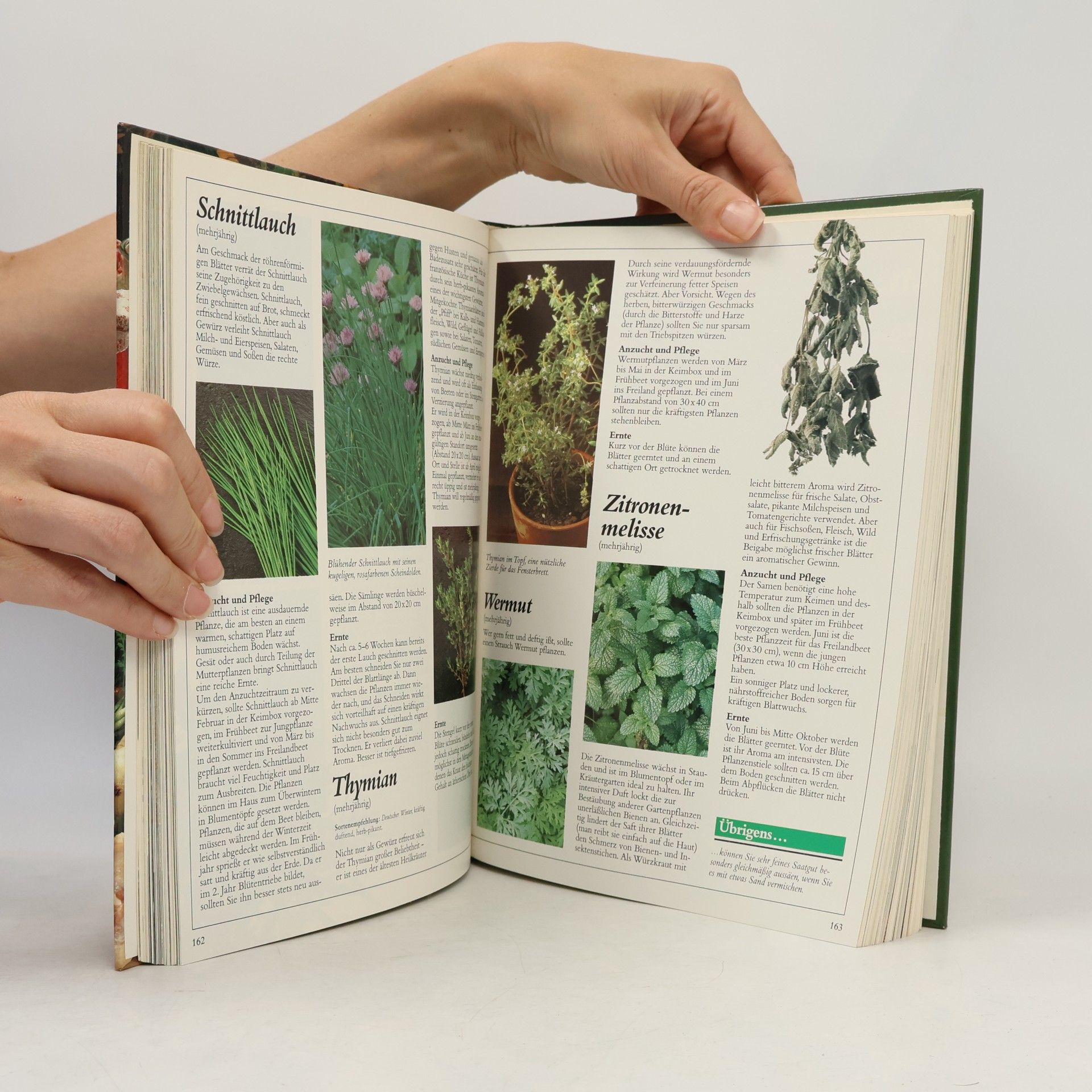 Autores varios Garten frische Küche