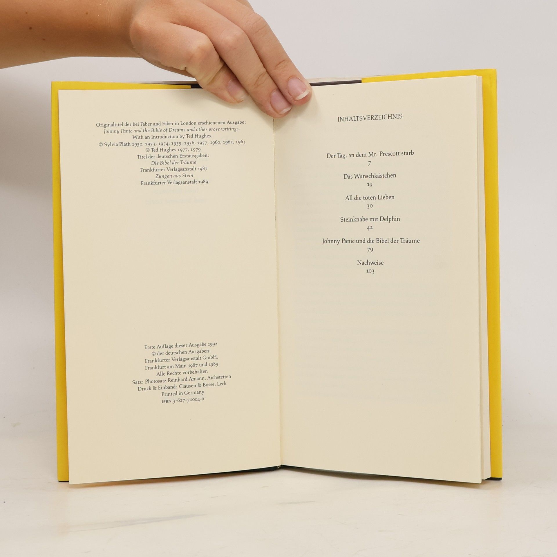Sylvia Plath Das Wunschkästchen. Erzählungen 1956-1958
