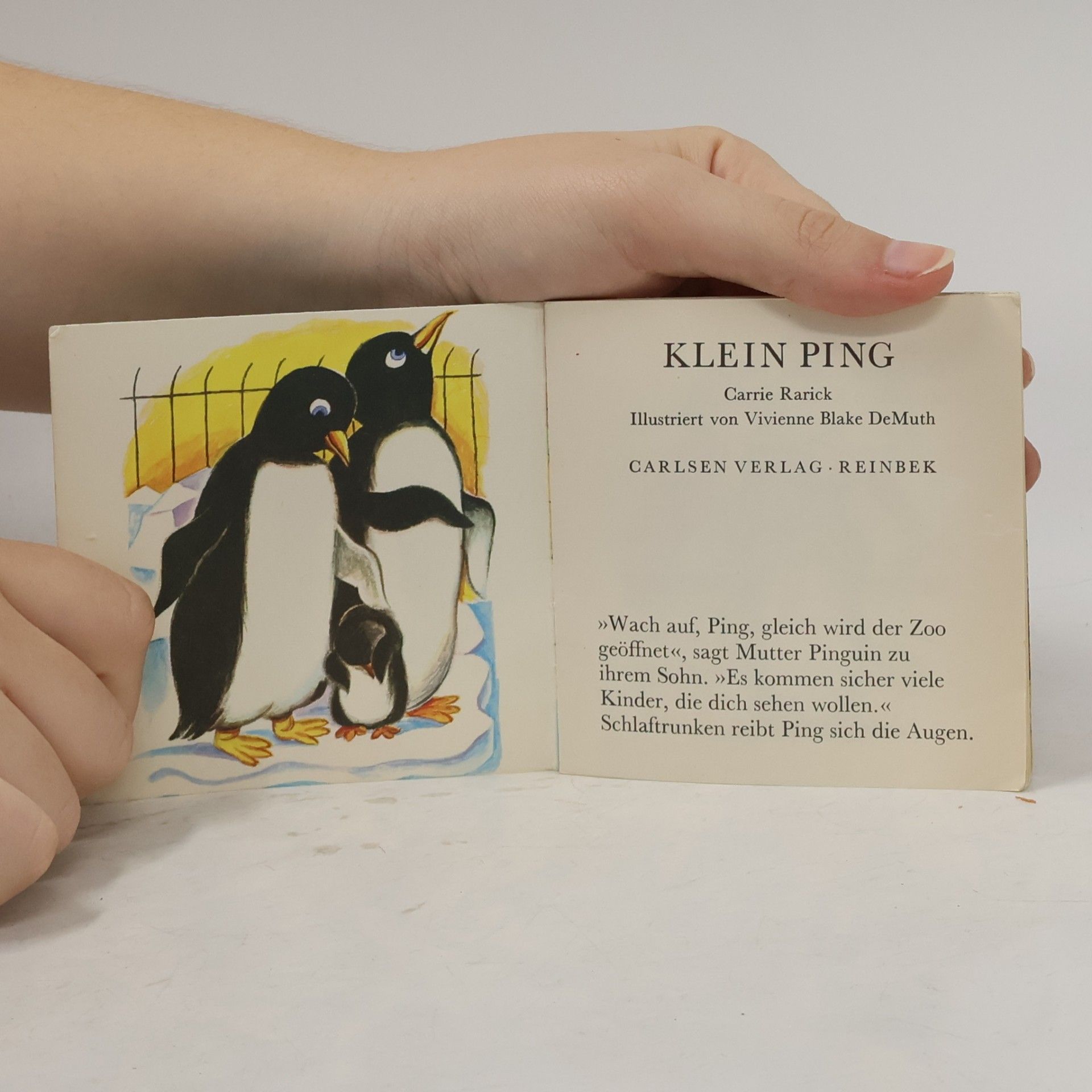 AA.VV. Klein-Ping