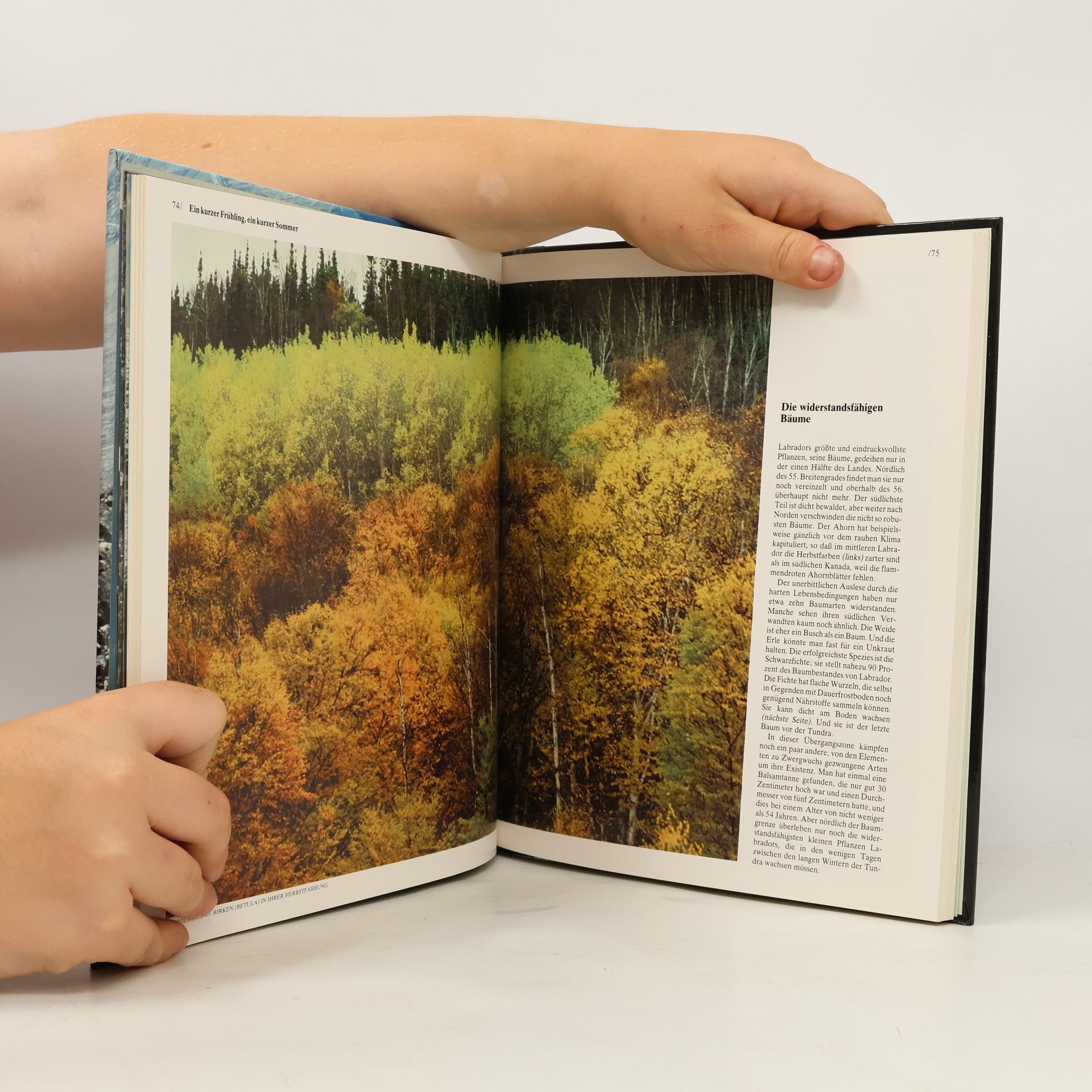 Kolektív autorov Labrador. Die Wildnisse der Welt/ Time-Life Bücher