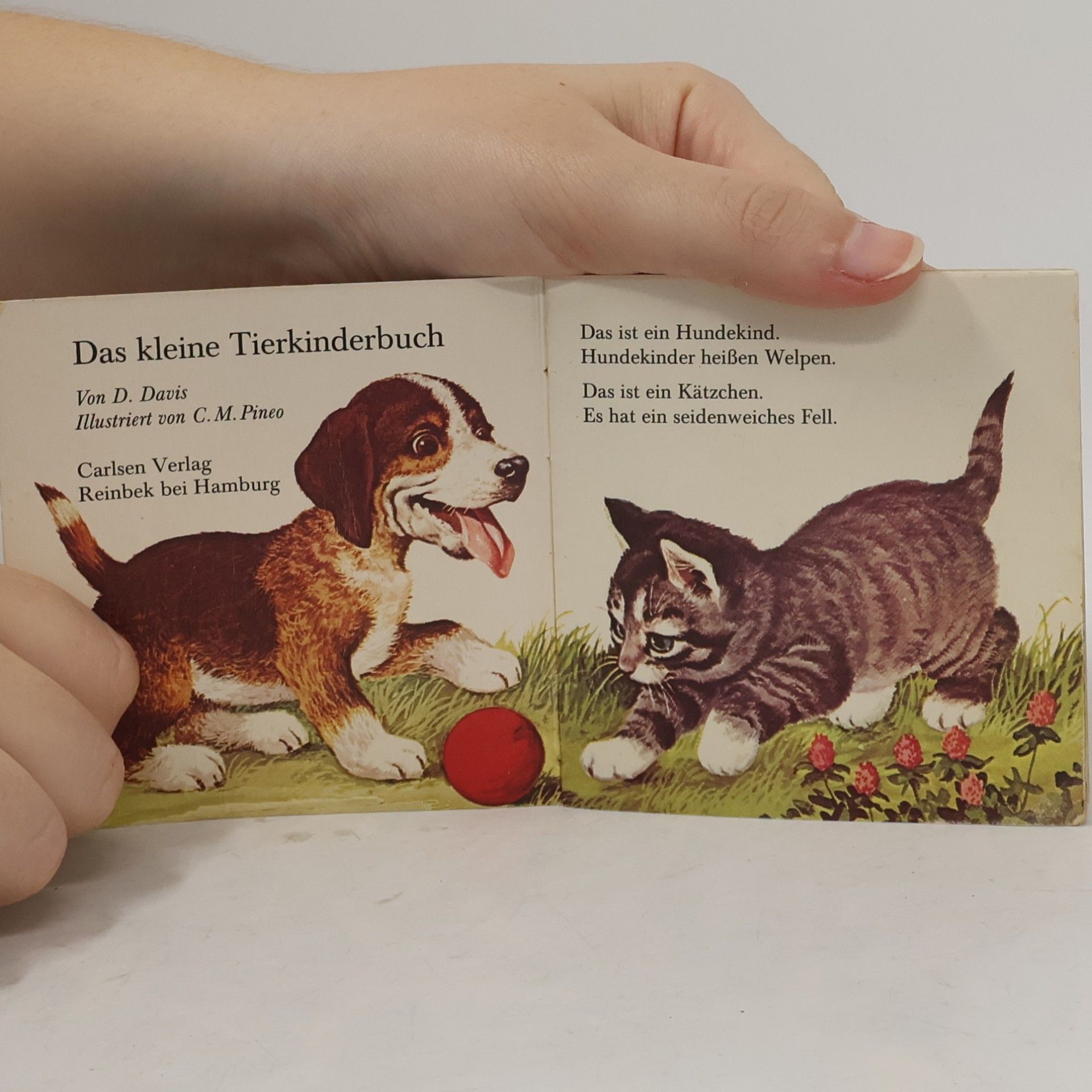 Autorenkollektiv Das kleine Tierkinder Buch