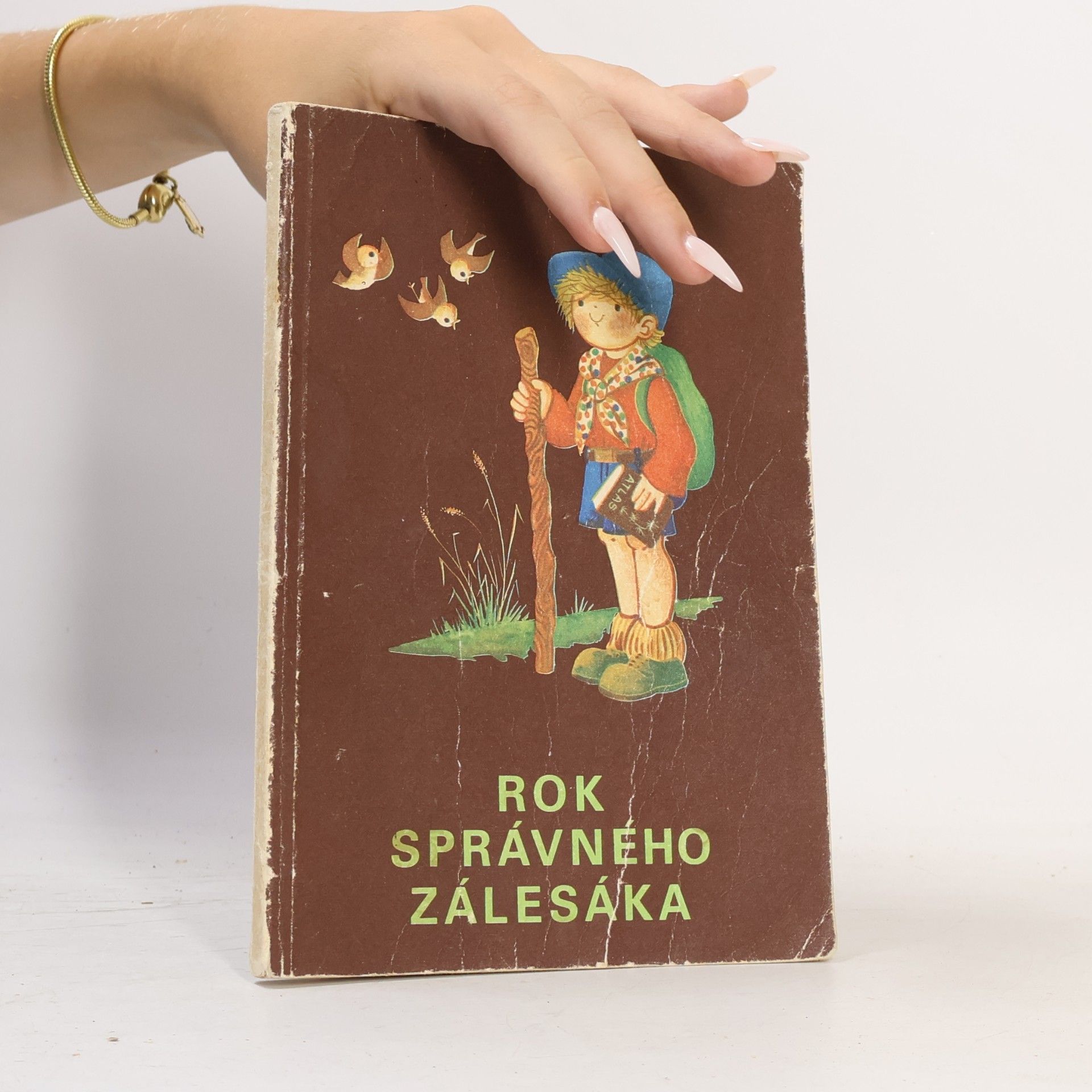 Autorenkollektiv Rok správného zálesáka
