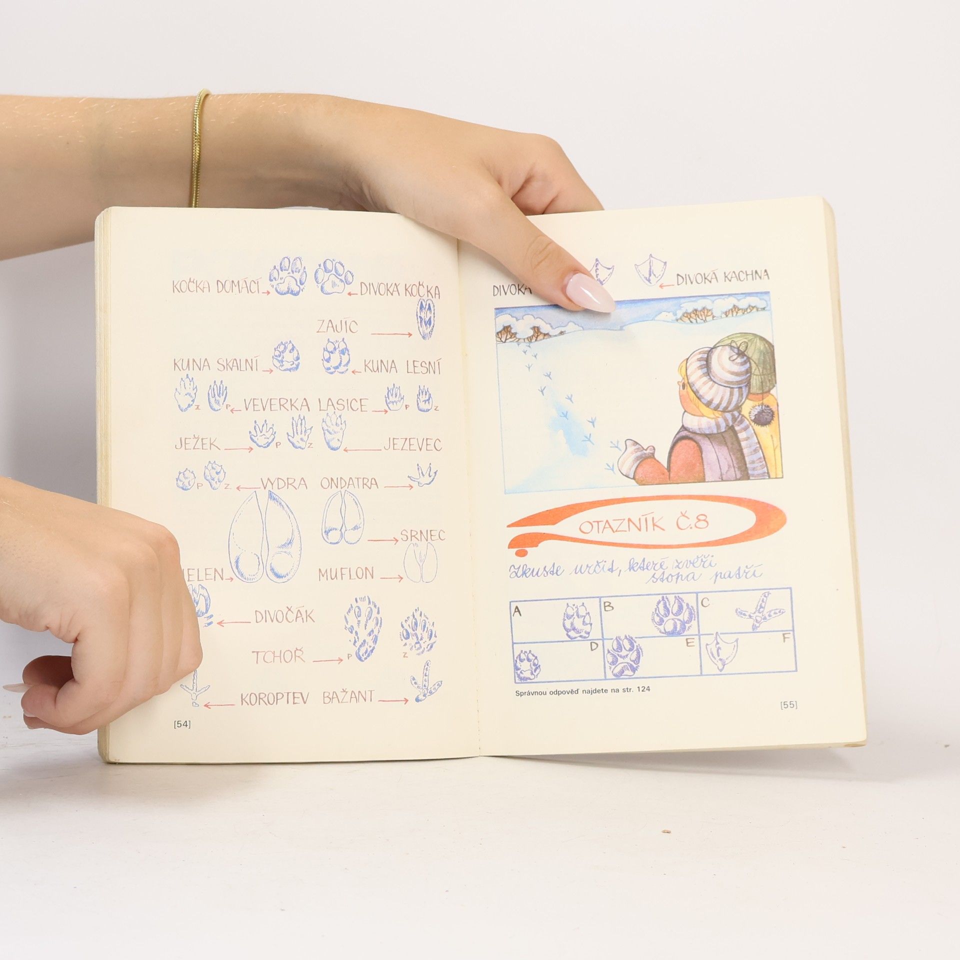 Autores varios Rok správného zálesáka