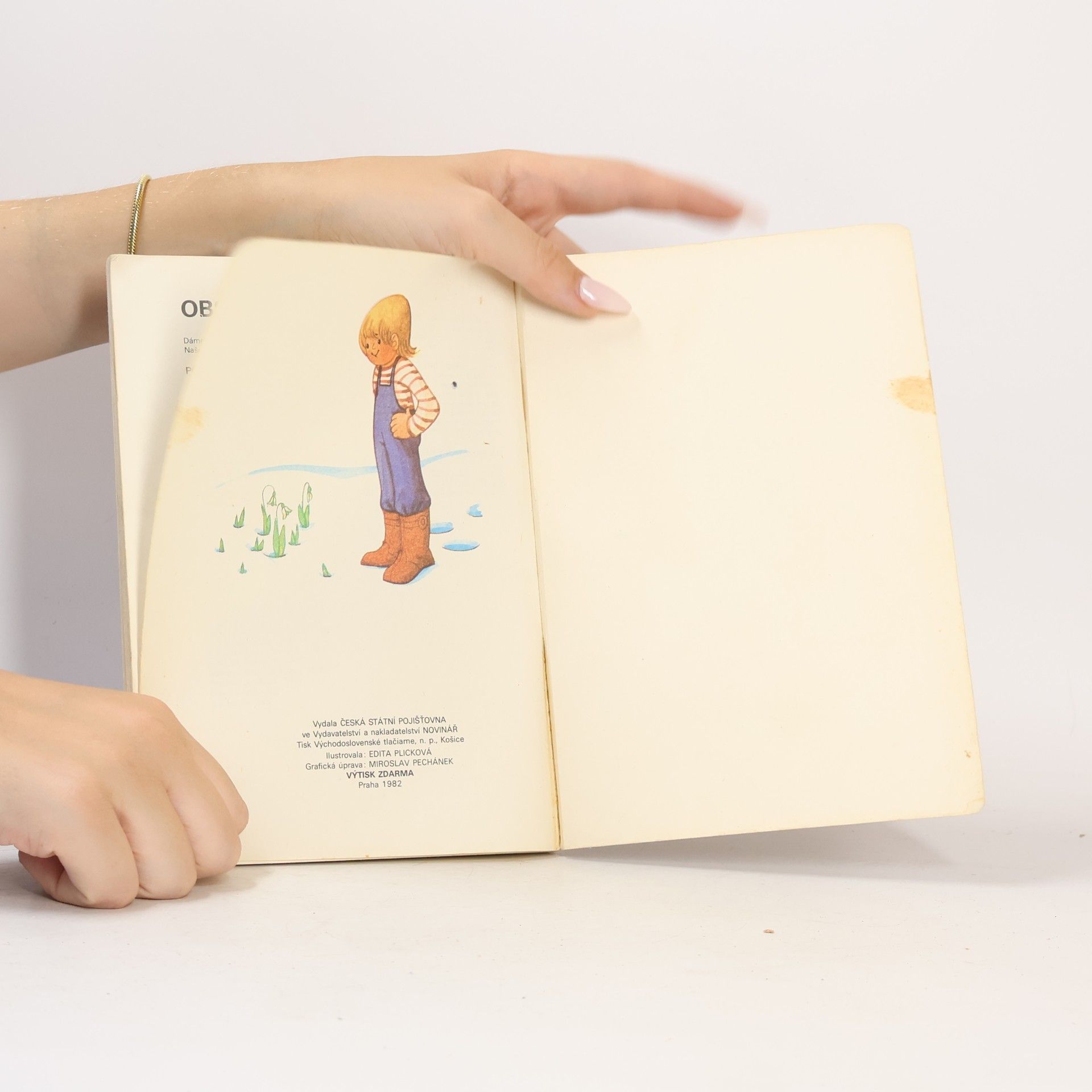 Autores varios Rok správného zálesáka