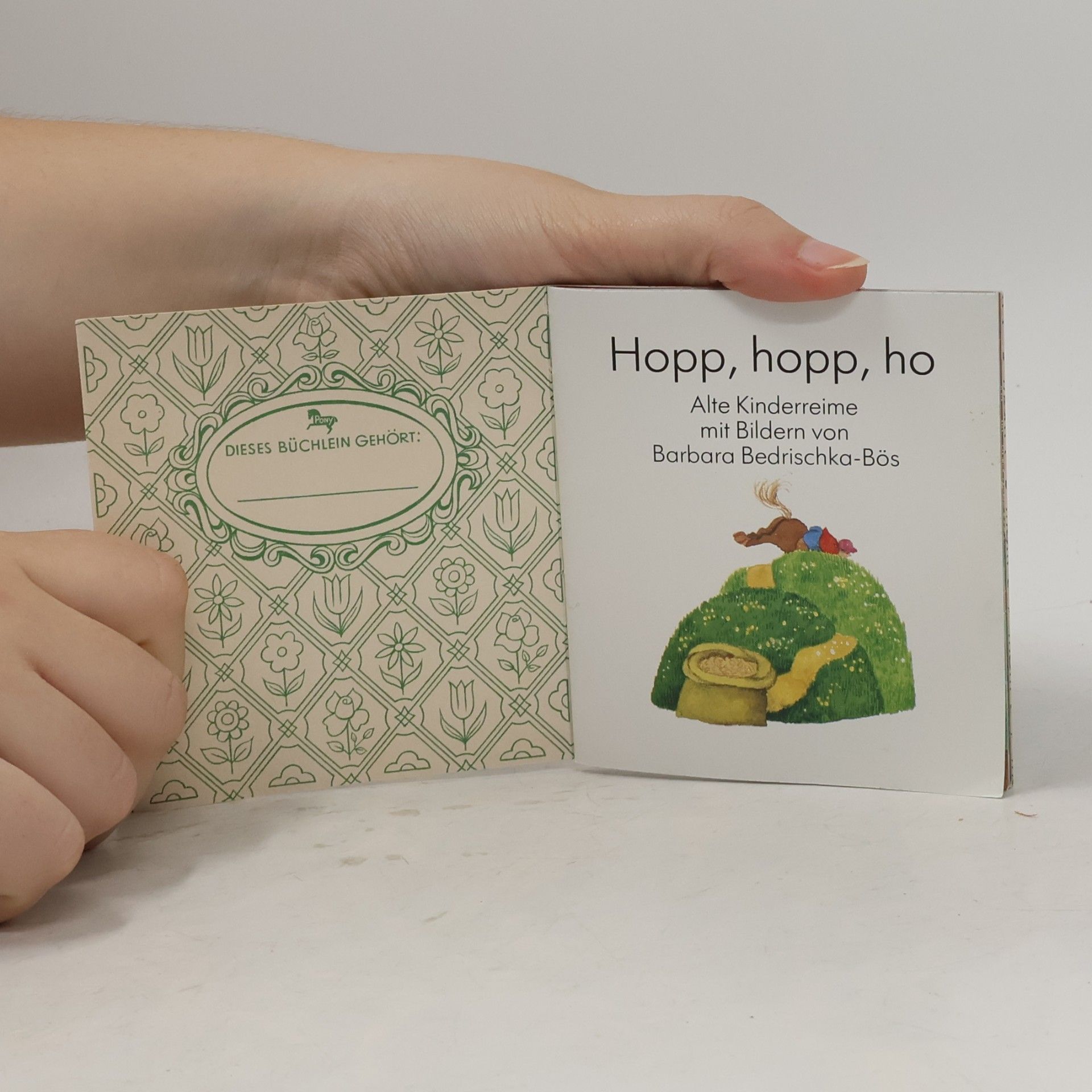 Autorenkollektiv Pony Buch 43. Hopp, hopp, ho