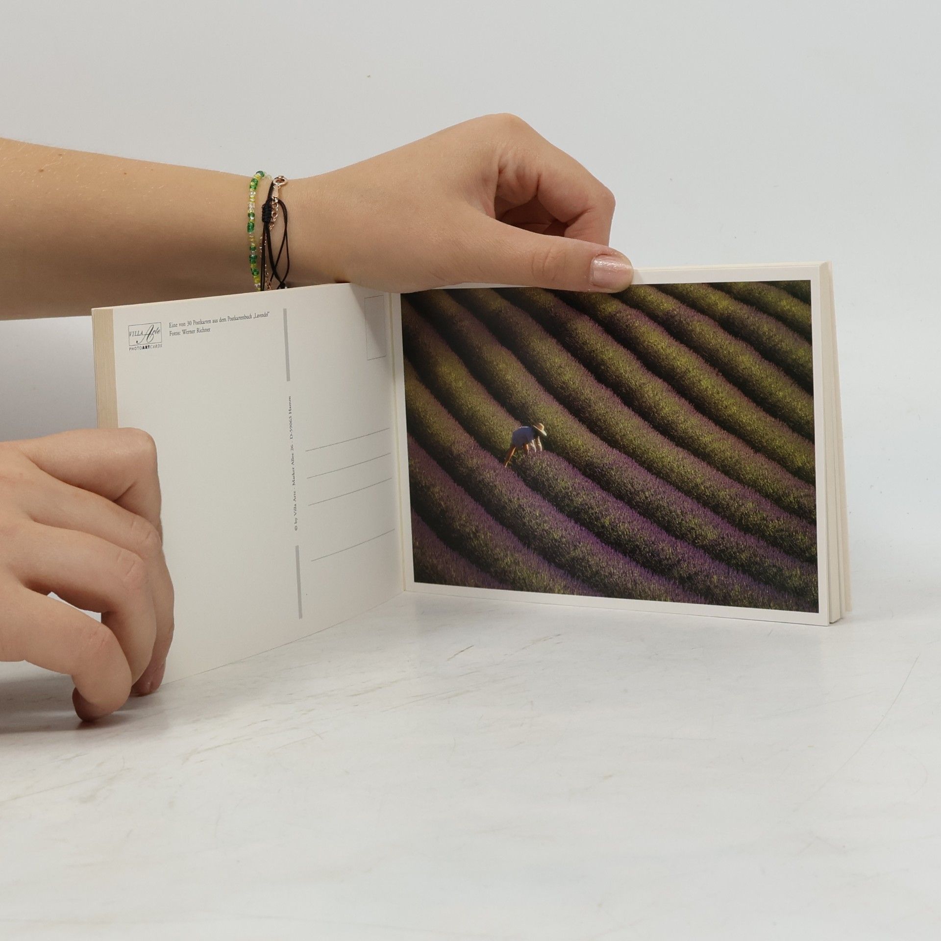 Lavendel, Lavender, Lavende: Postkartenbuch