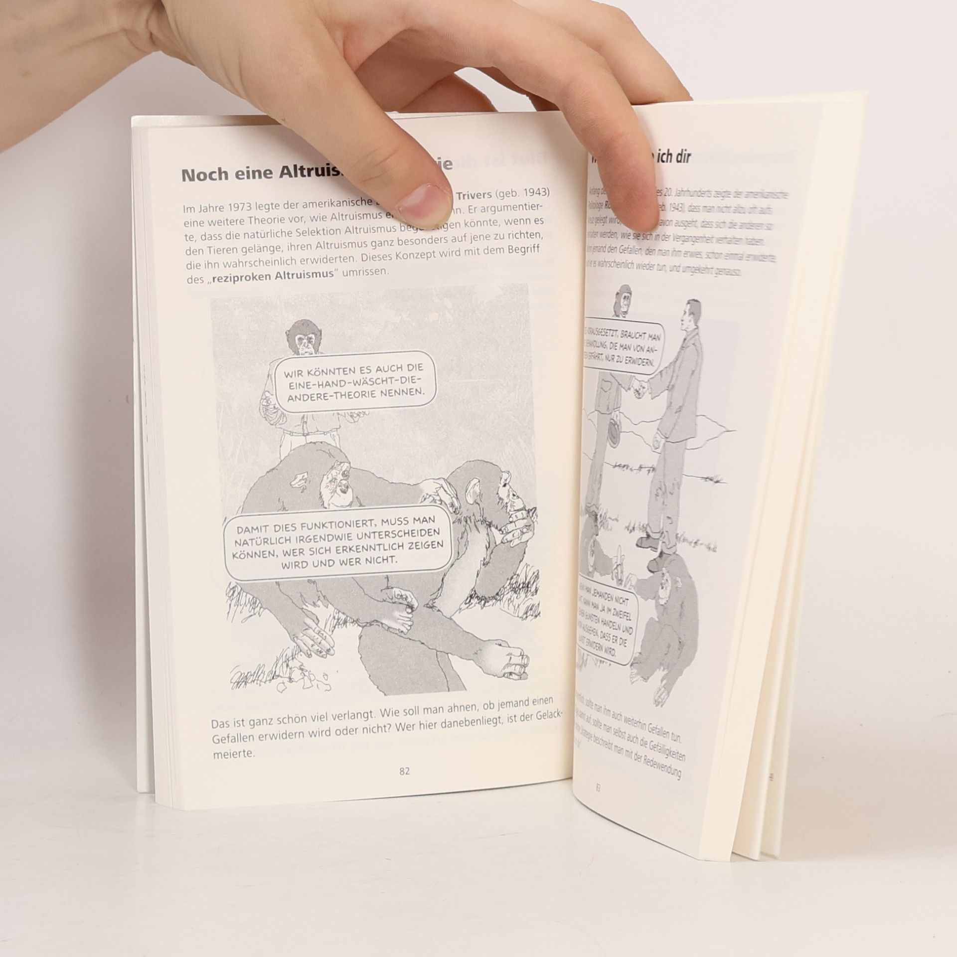 Dylan Evans INFOcomics: Evolution, ein Sachcomic