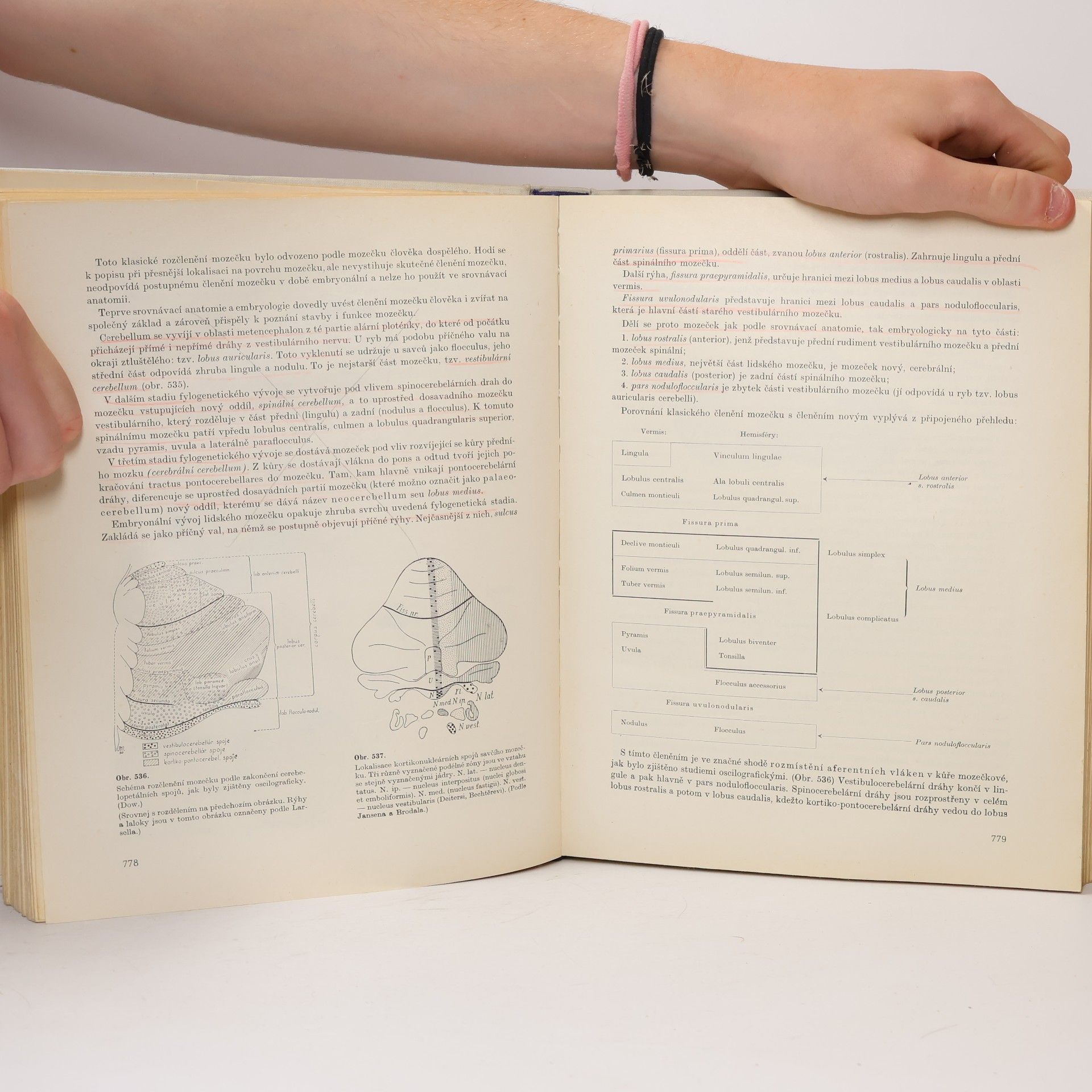 Ladislav Borovanský Soustavná anatomie člověka II.