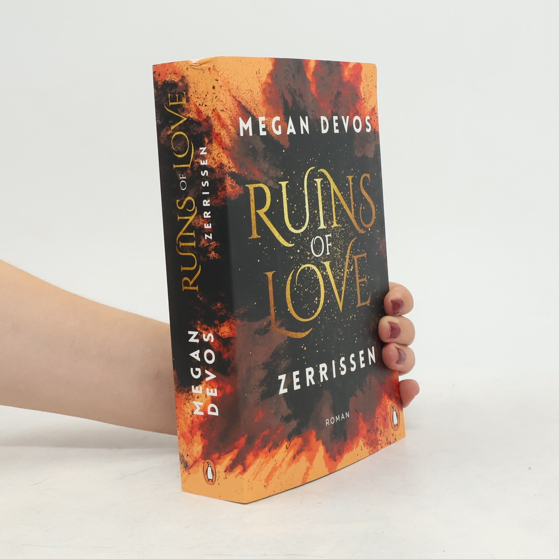 Megan DeVos Ruins of Love