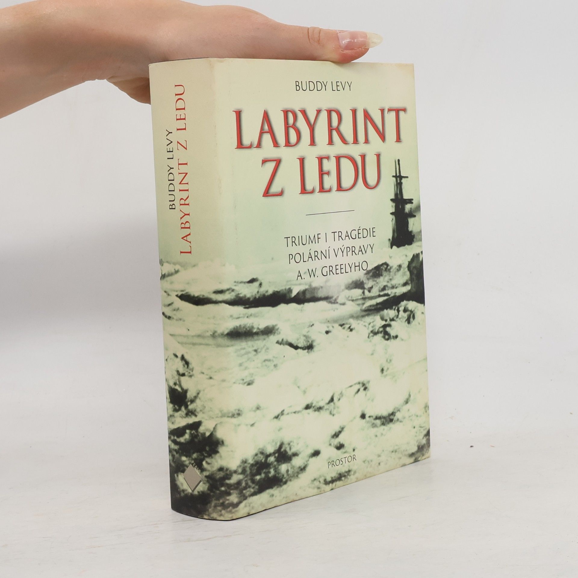 Buddy Levy Labyrint z ledu