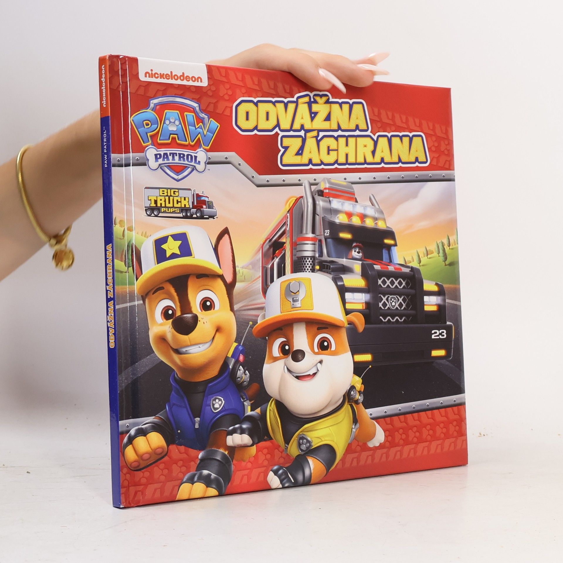 Mj Illustrations Odvážná záchrana