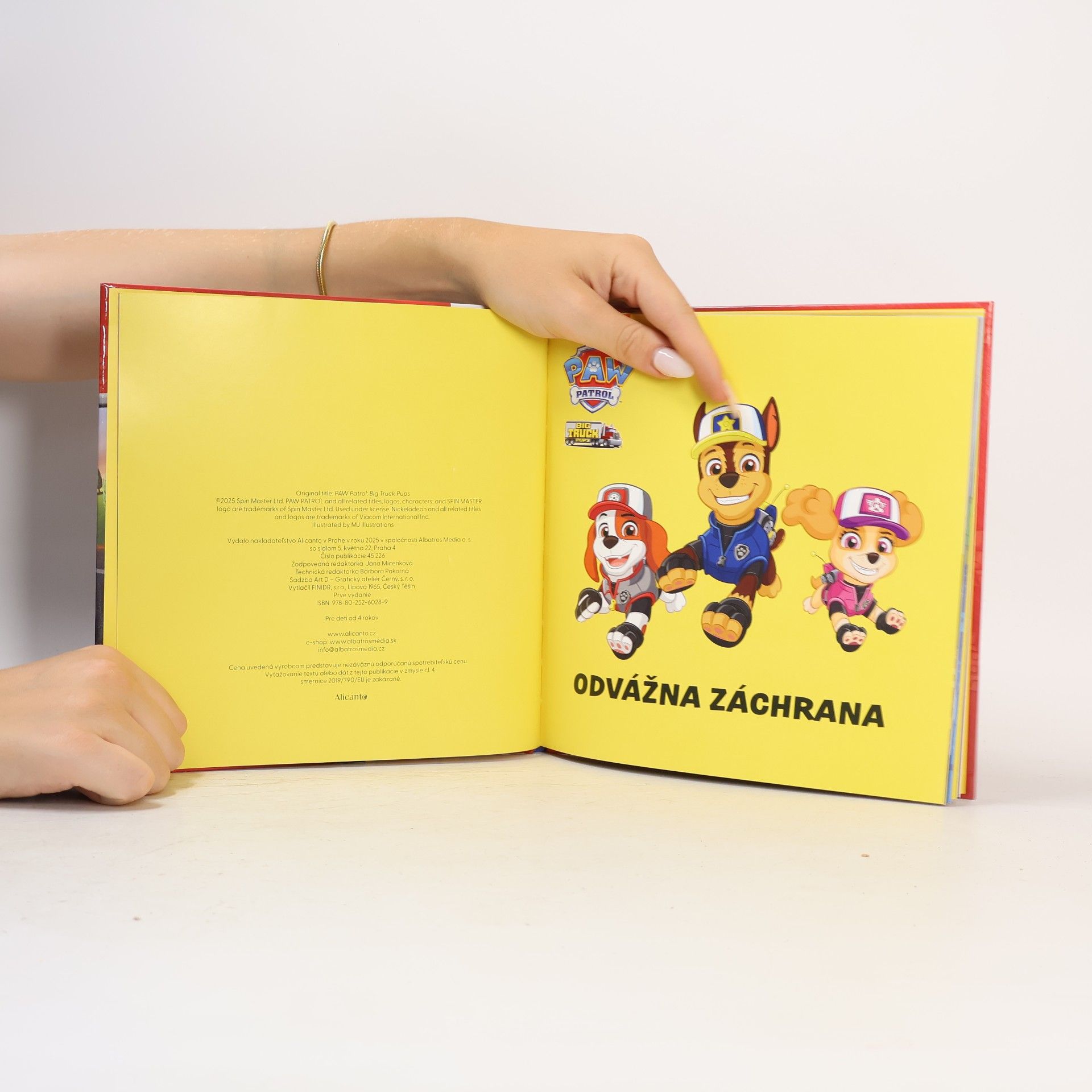 Mj Illustrations Odvážná záchrana