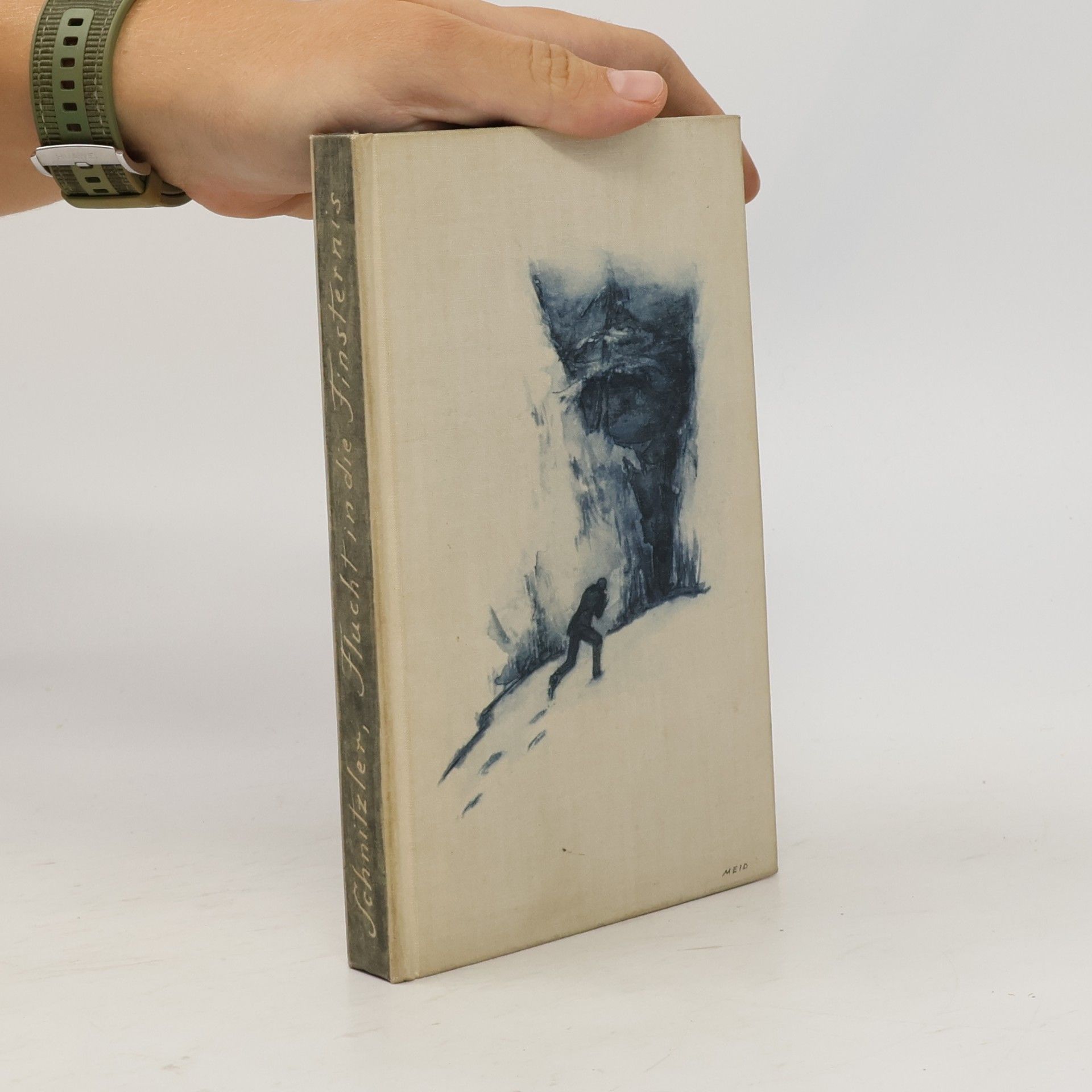 Arthur Schnitzler Flucht in die Finsternis