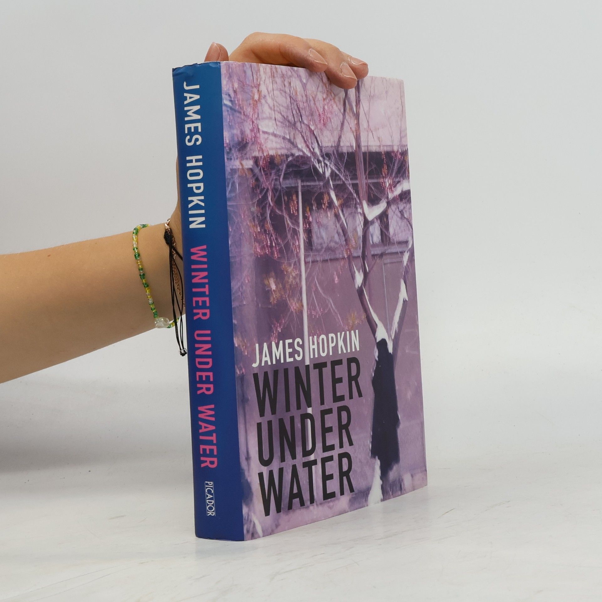 James Hopkin Winter Under Water, or, Conversation with the Elements