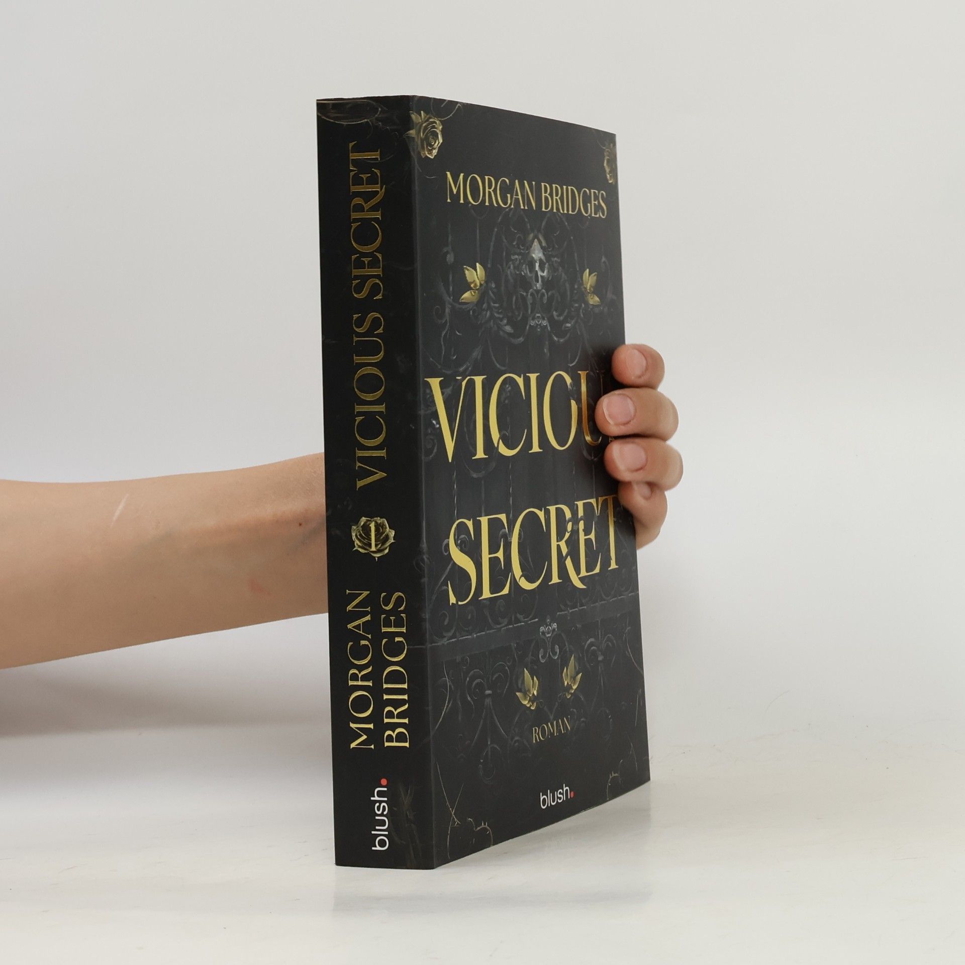 Morgan Bridges Vicious Secret