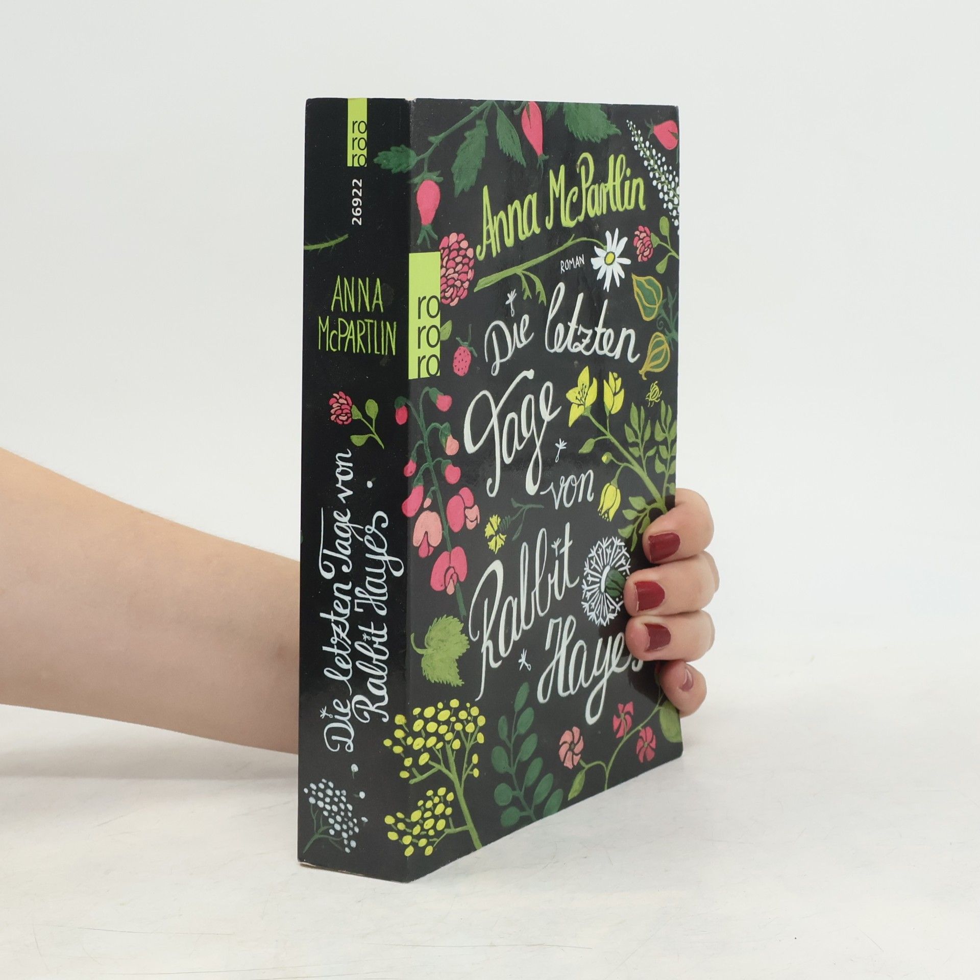 Anna Mc Partlin Die letzten Tage von Rabbit Hayes