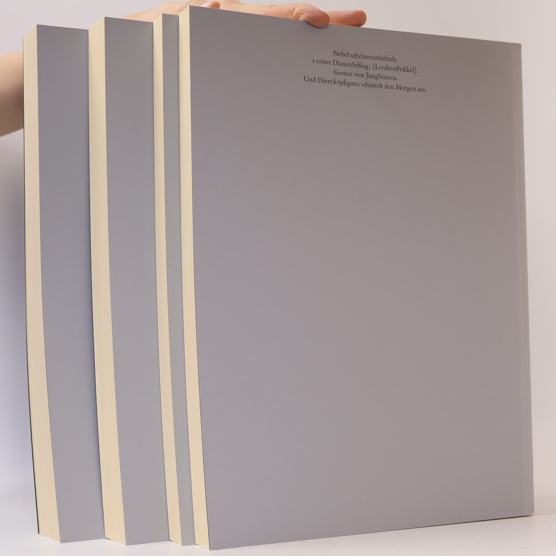 Arno Schmidt Zettel's Traum