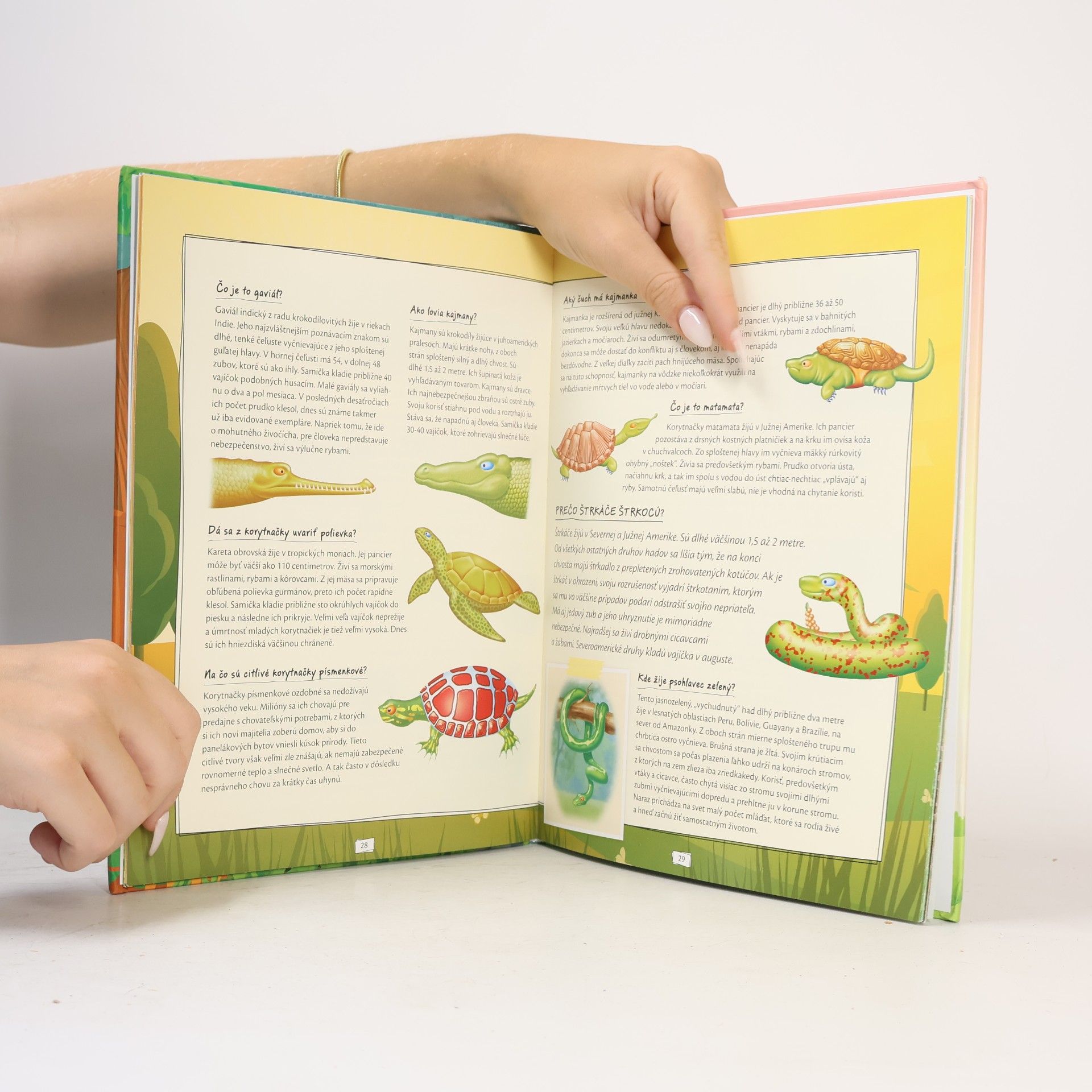 Various authors Vieš to? Zaujímavosti z ríše zvierat