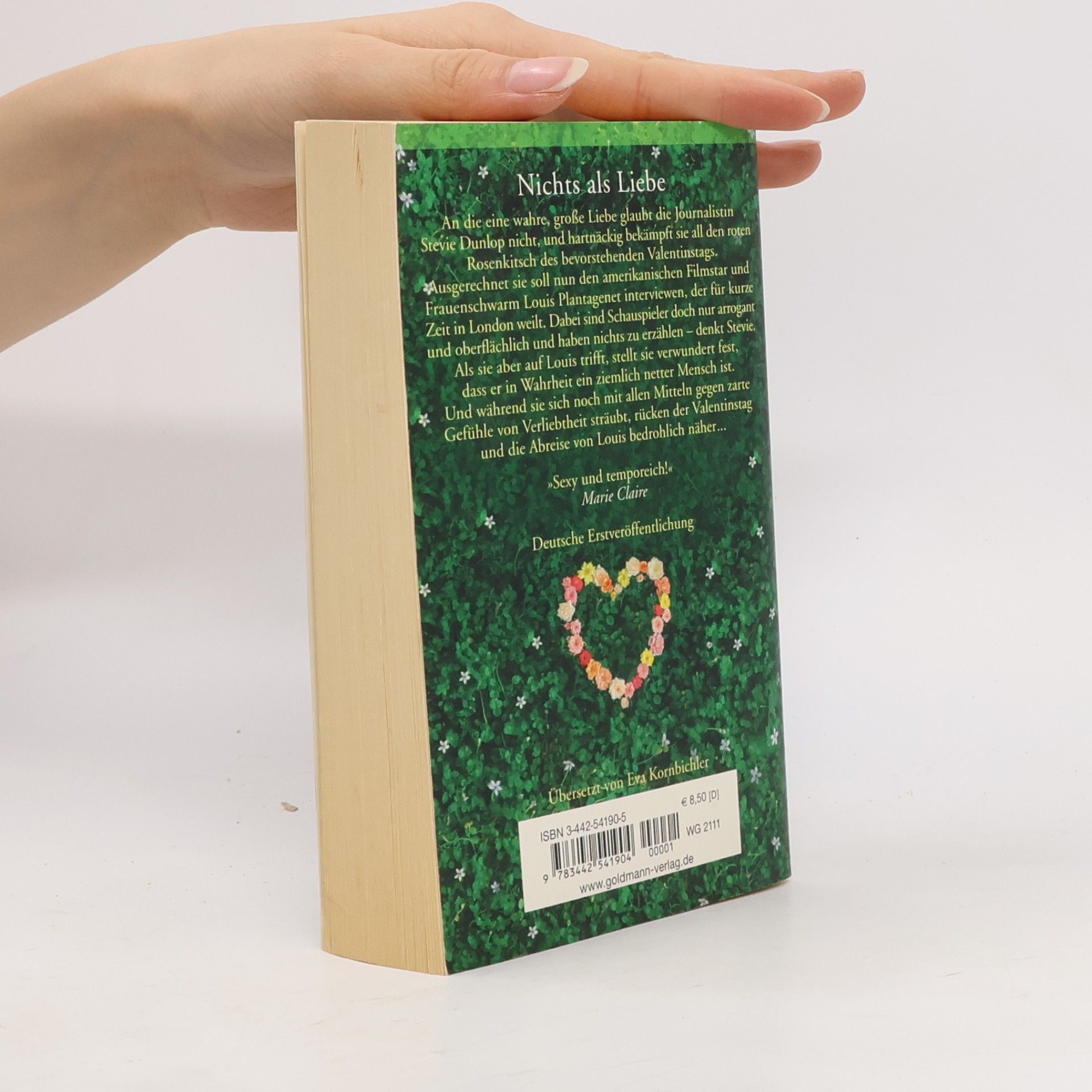 Amy Jenkins Nichts als Liebe