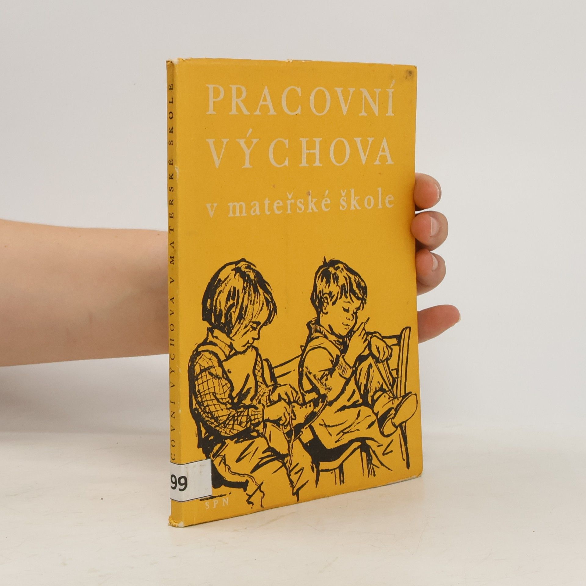 Collectif d'auteurs Pracovní výchova v mateřské škole