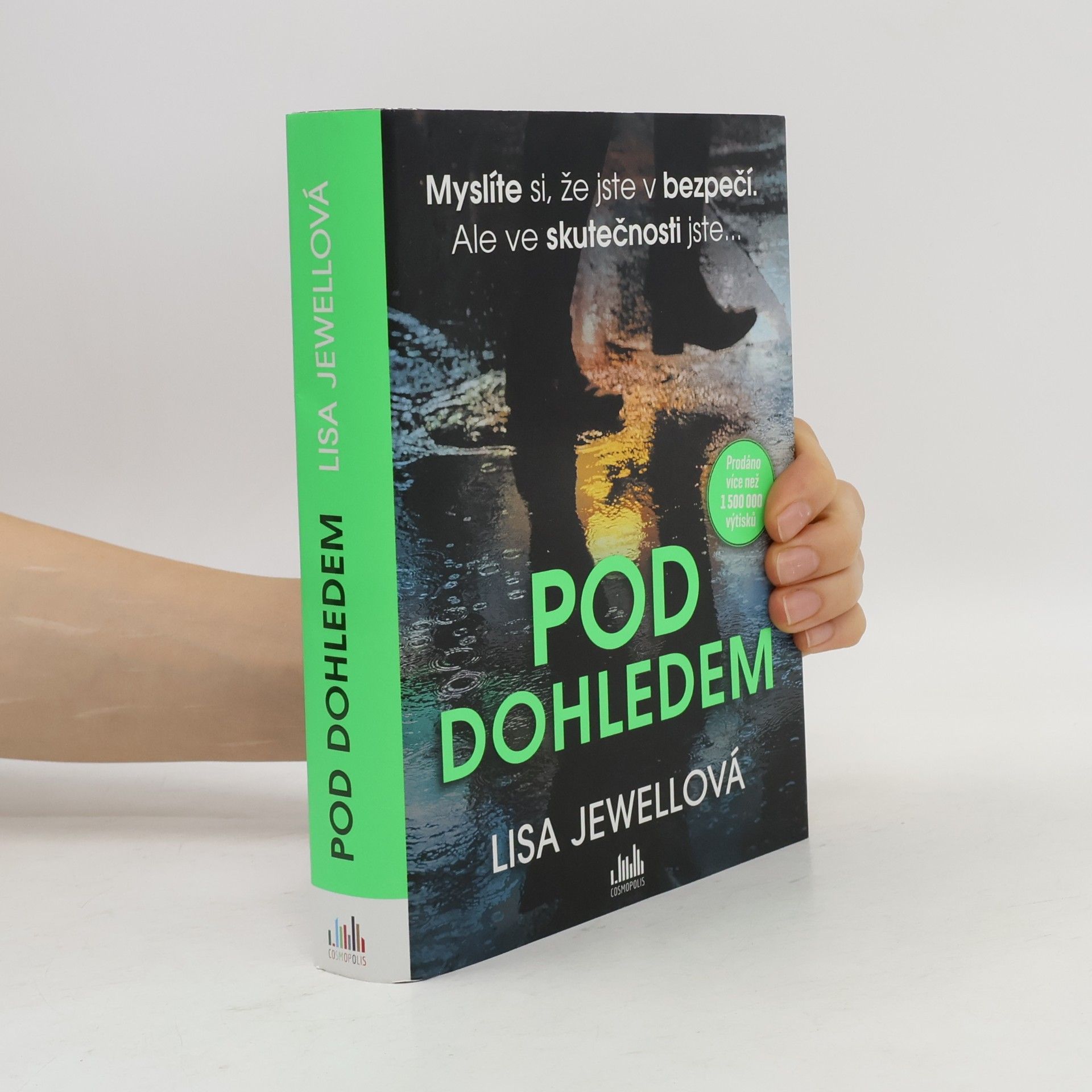 Lisa Jewell Pod dohledem