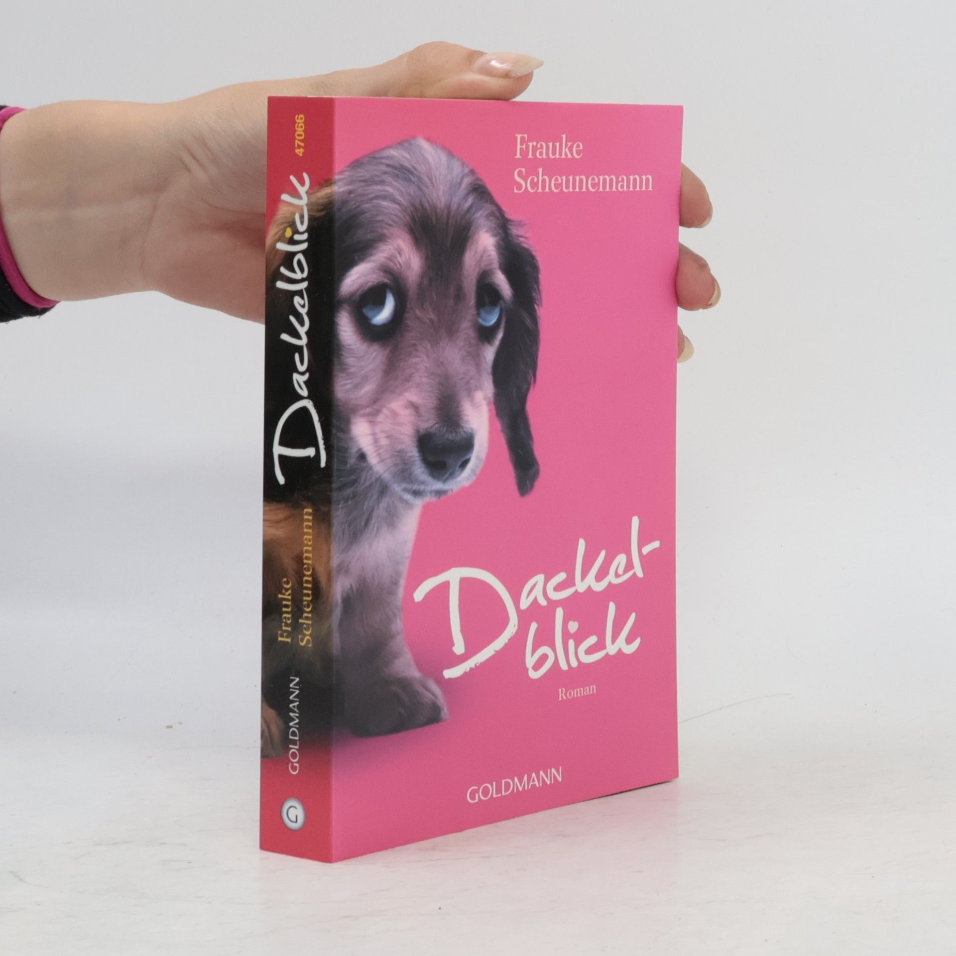 Frauke Scheunemann Dackelblick