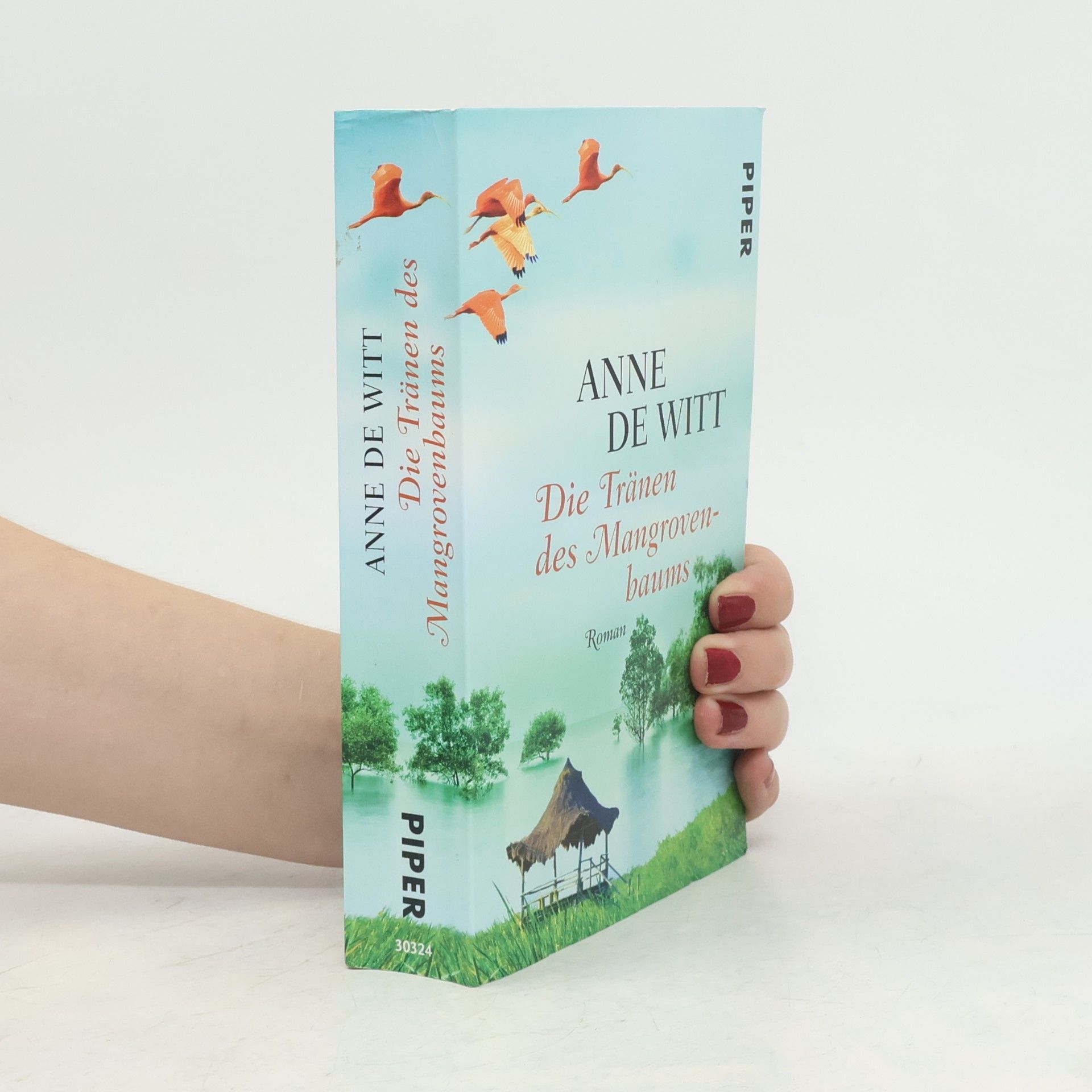Anne de Witt Die Tränen des Mangrovenbaums