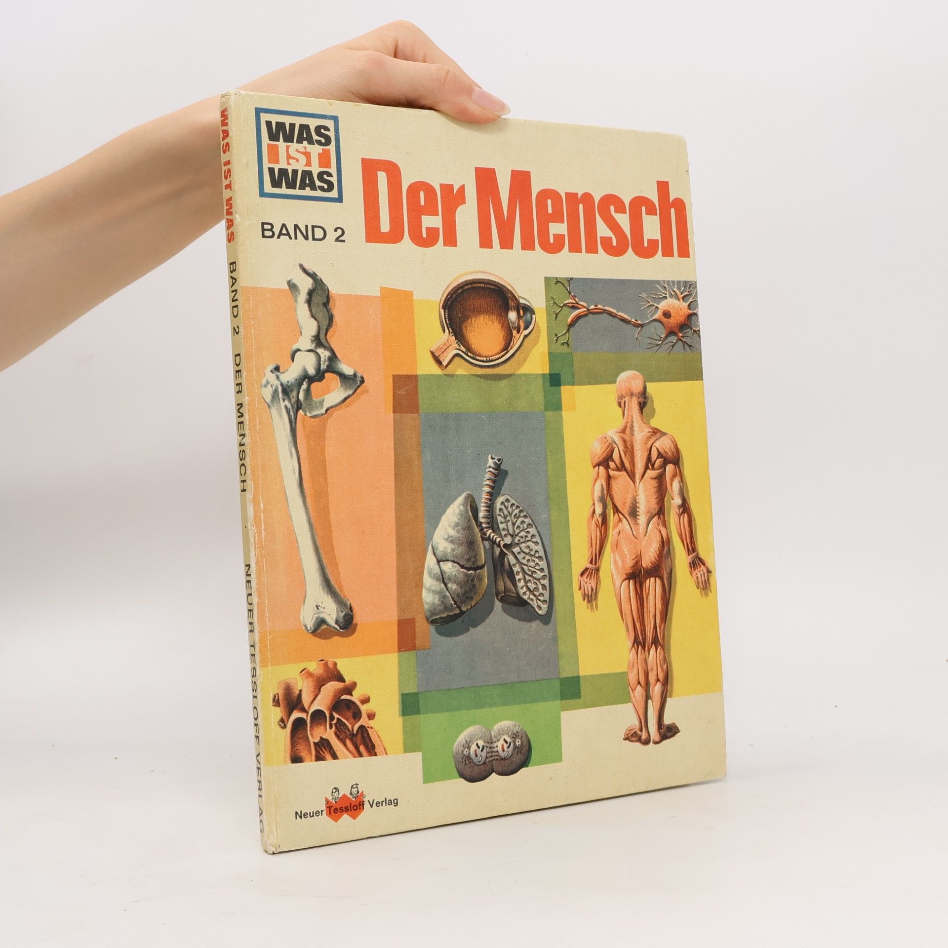 Various authors Der Mensch. Band 2