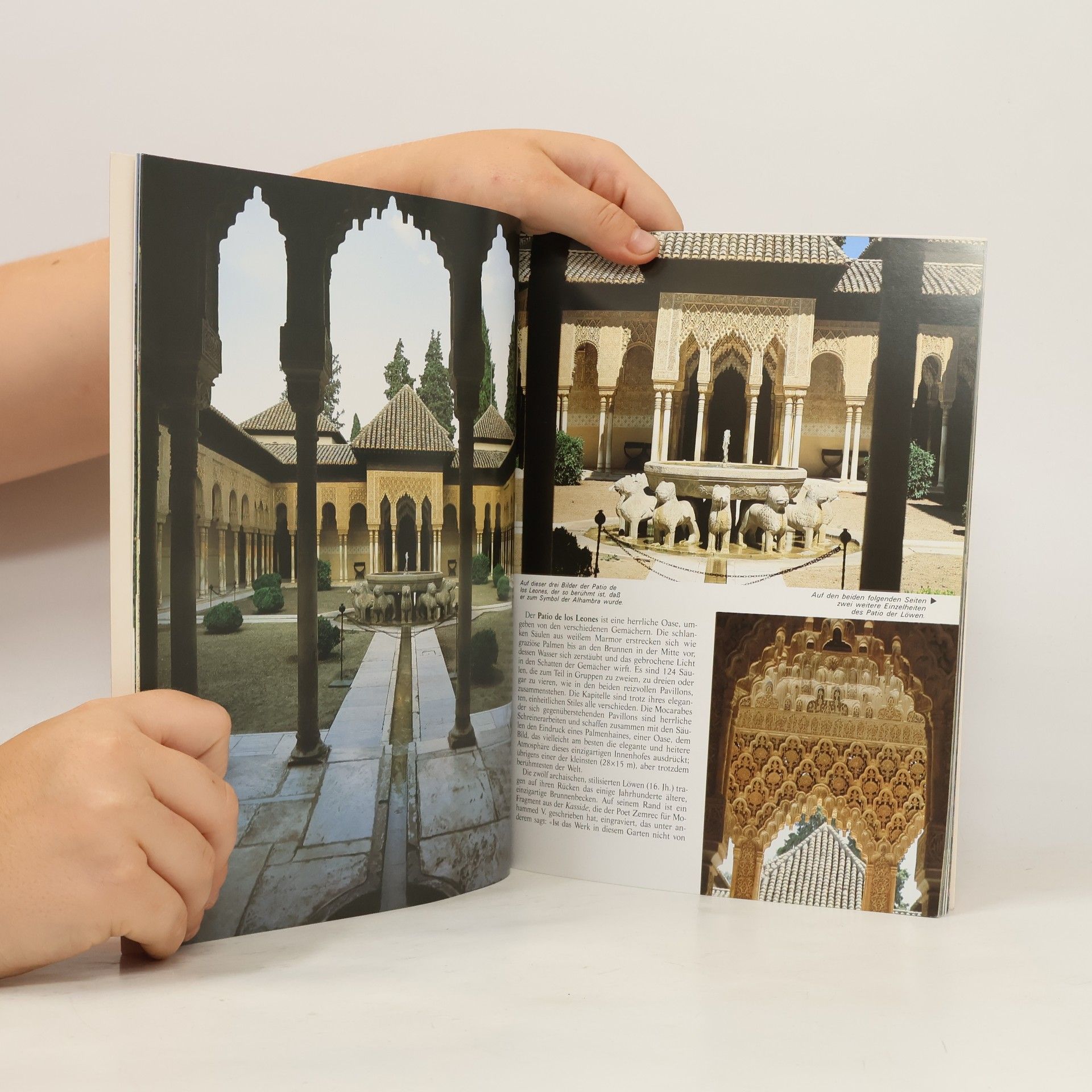 Carlos Pascual Granada und die Alhambra