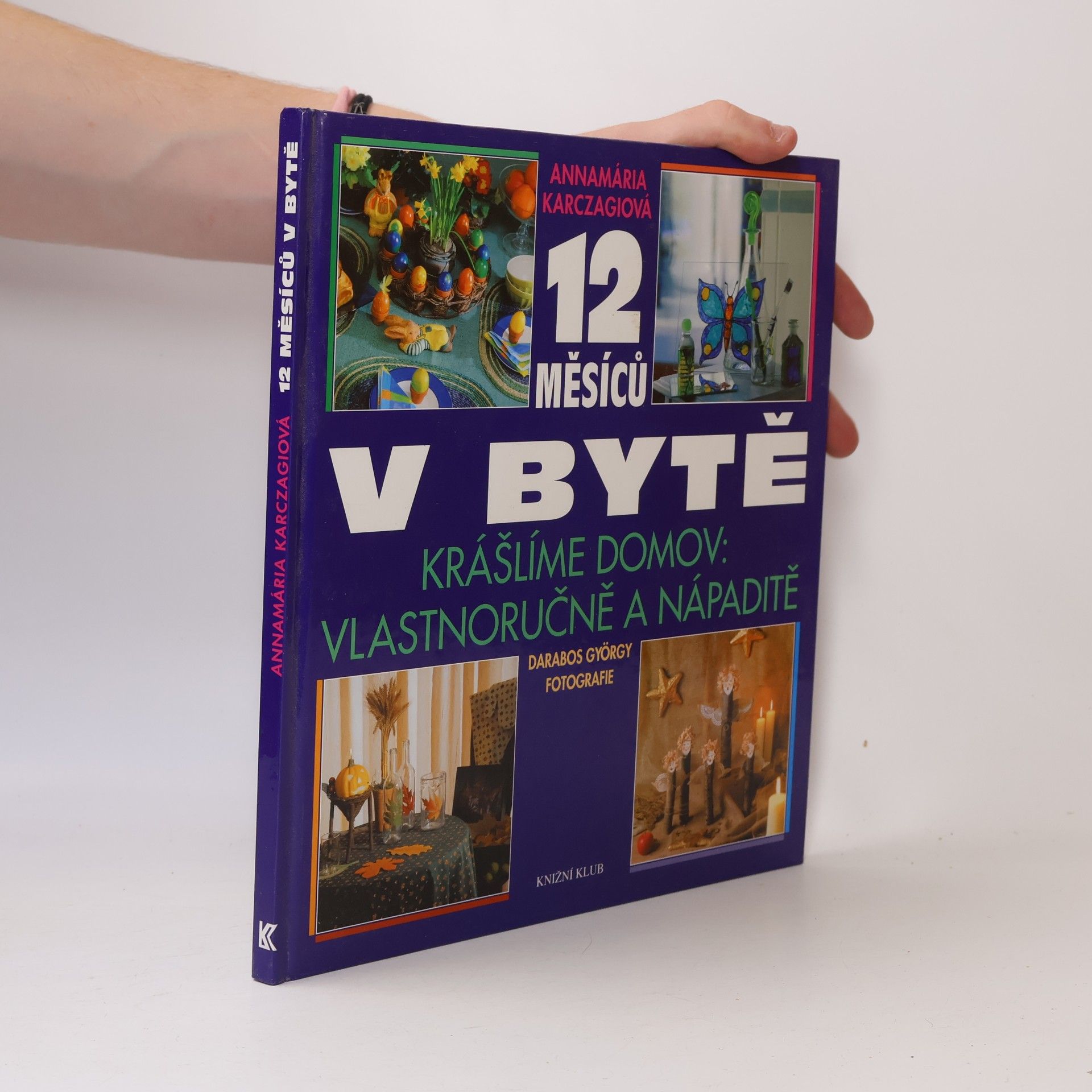 György Darabos 12 měsíců v bytě : krášlíme domov vlastnoručně a nápaditě