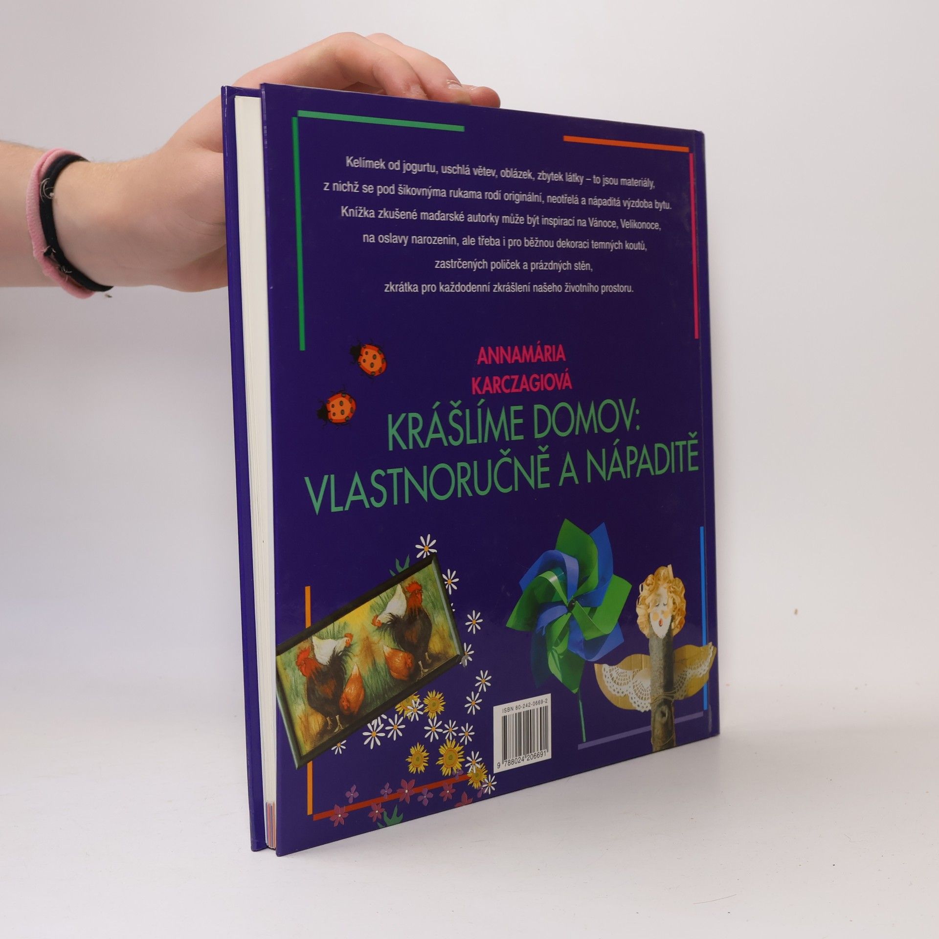 Annamária Karczagio 12 měsíců v bytě : krášlíme domov vlastnoručně a nápaditě