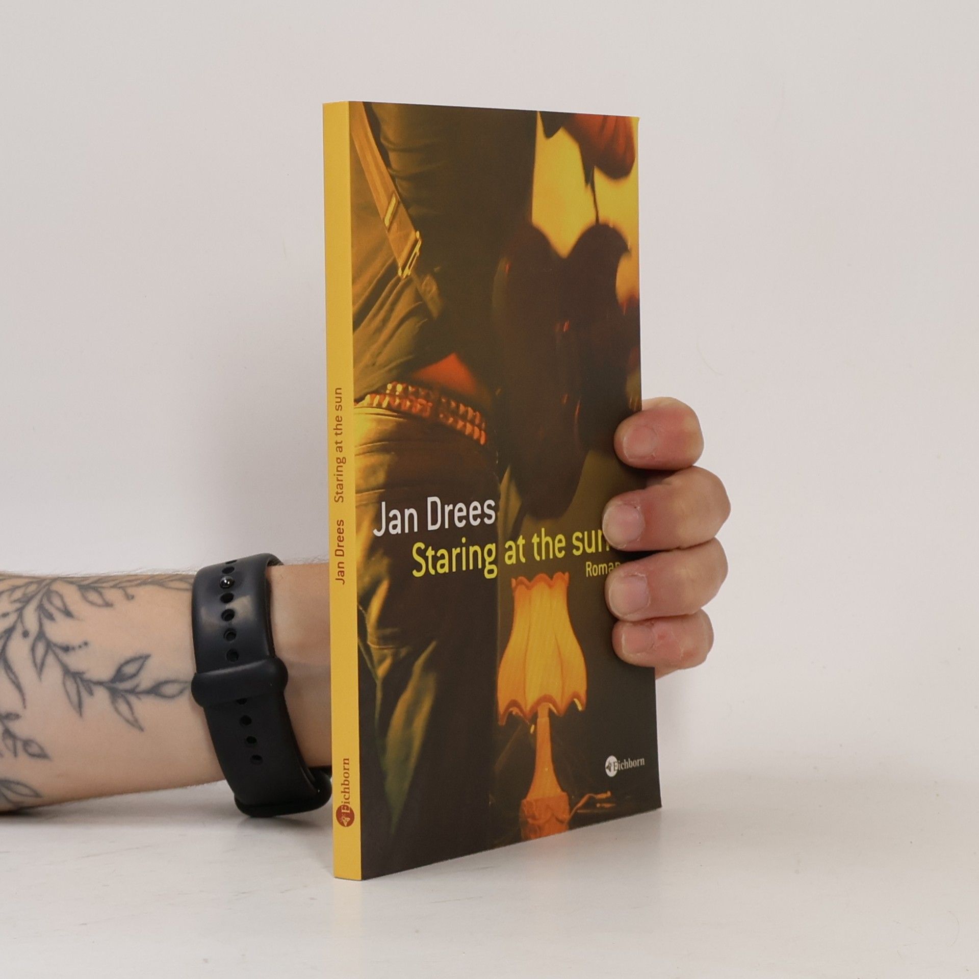 Jan Drees Staring At The Sun. Remix-Version