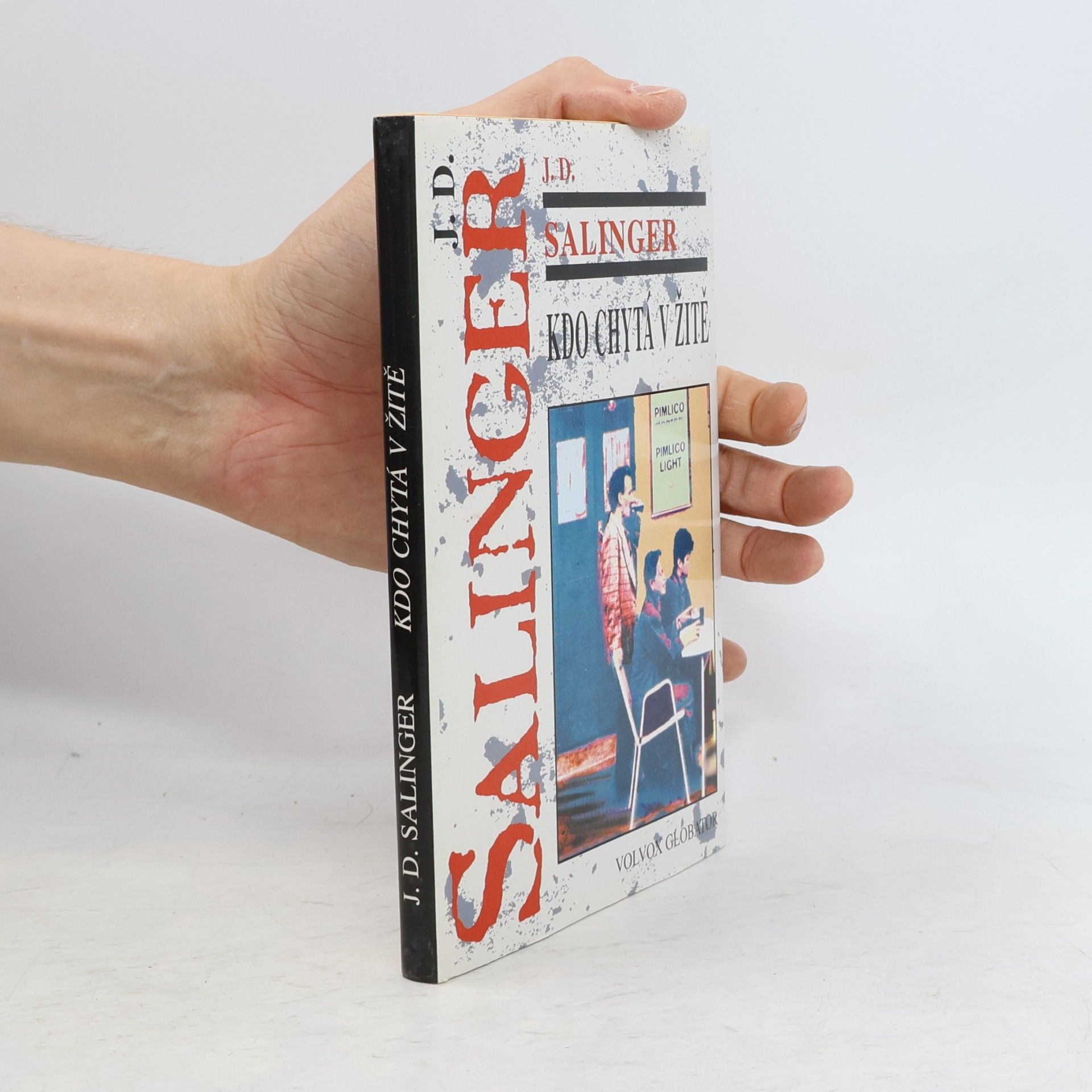 J. D. Salinger Kdo chytá v žitě