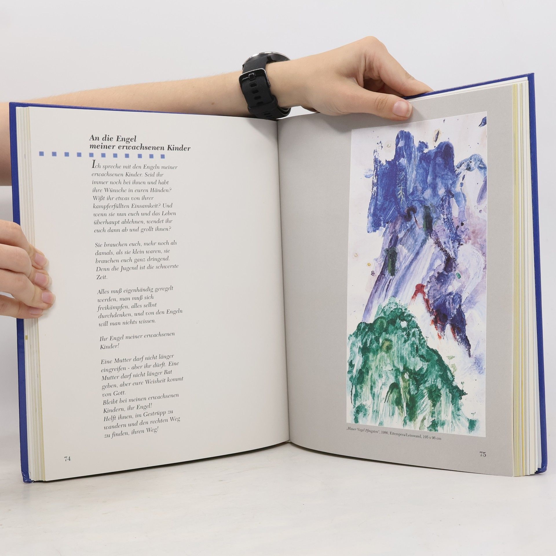 Christine Haiden Das große Familienbuch