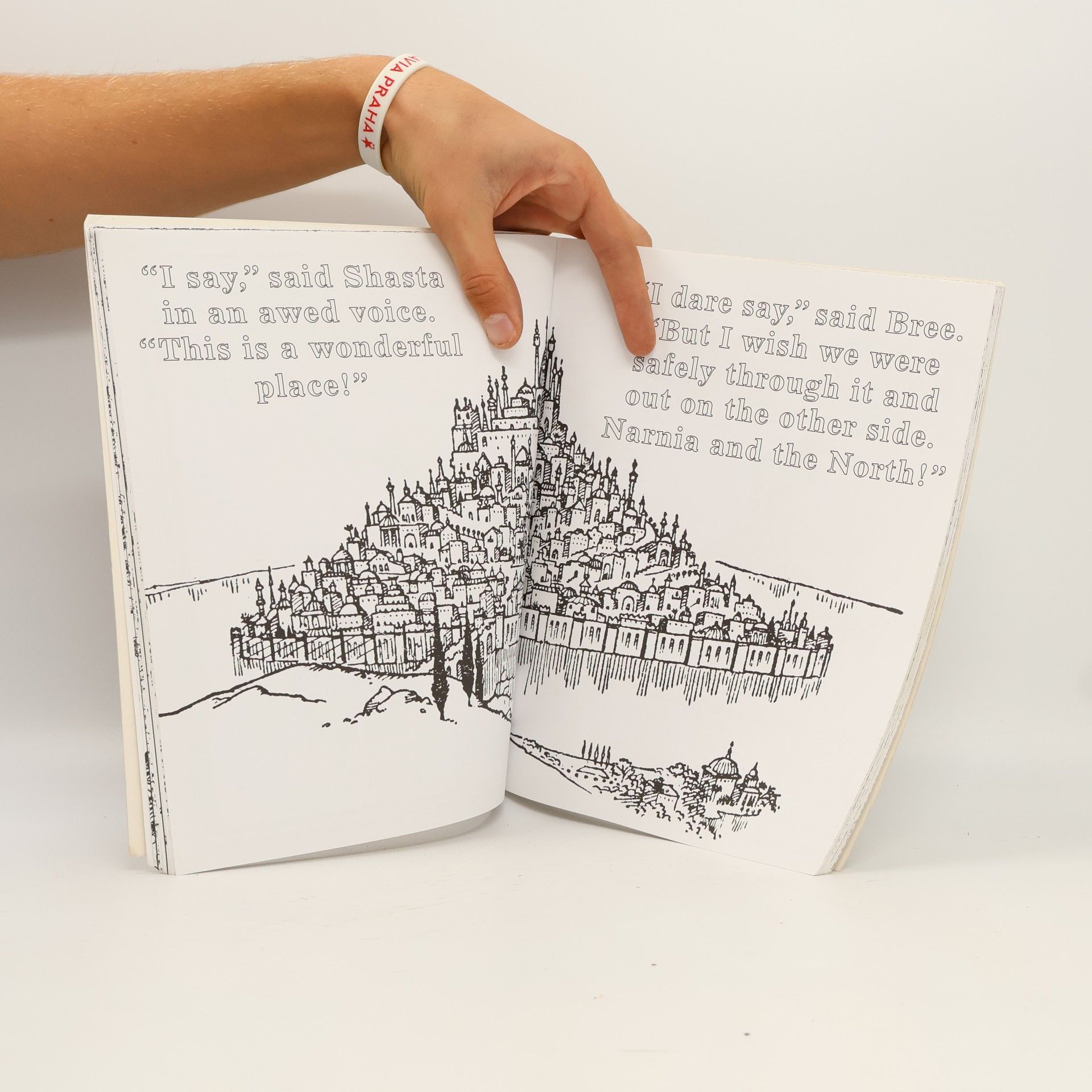 C. S. Lewis The Chronicles of Narnia Colouring Book