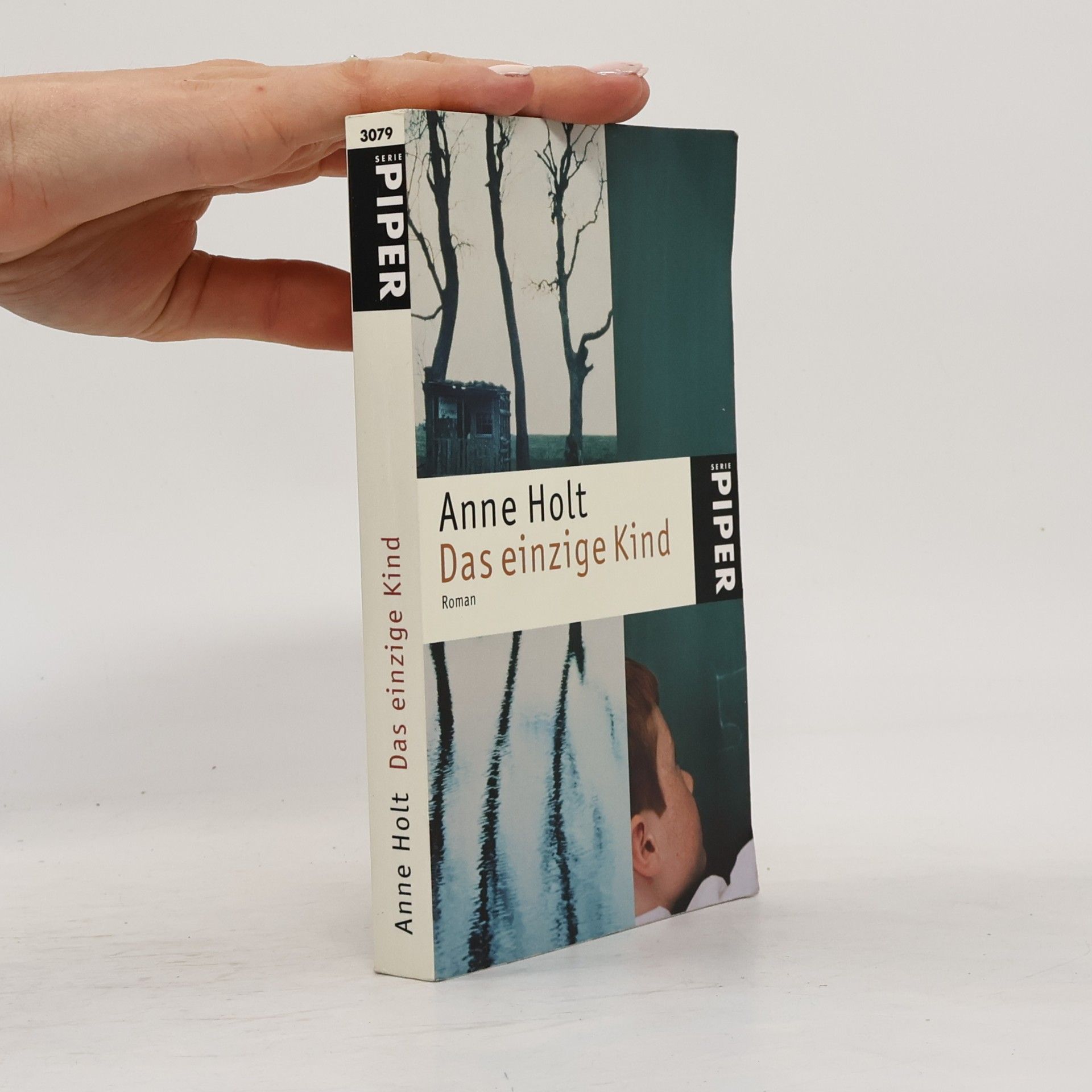 Anne Holt Das einzige Kind