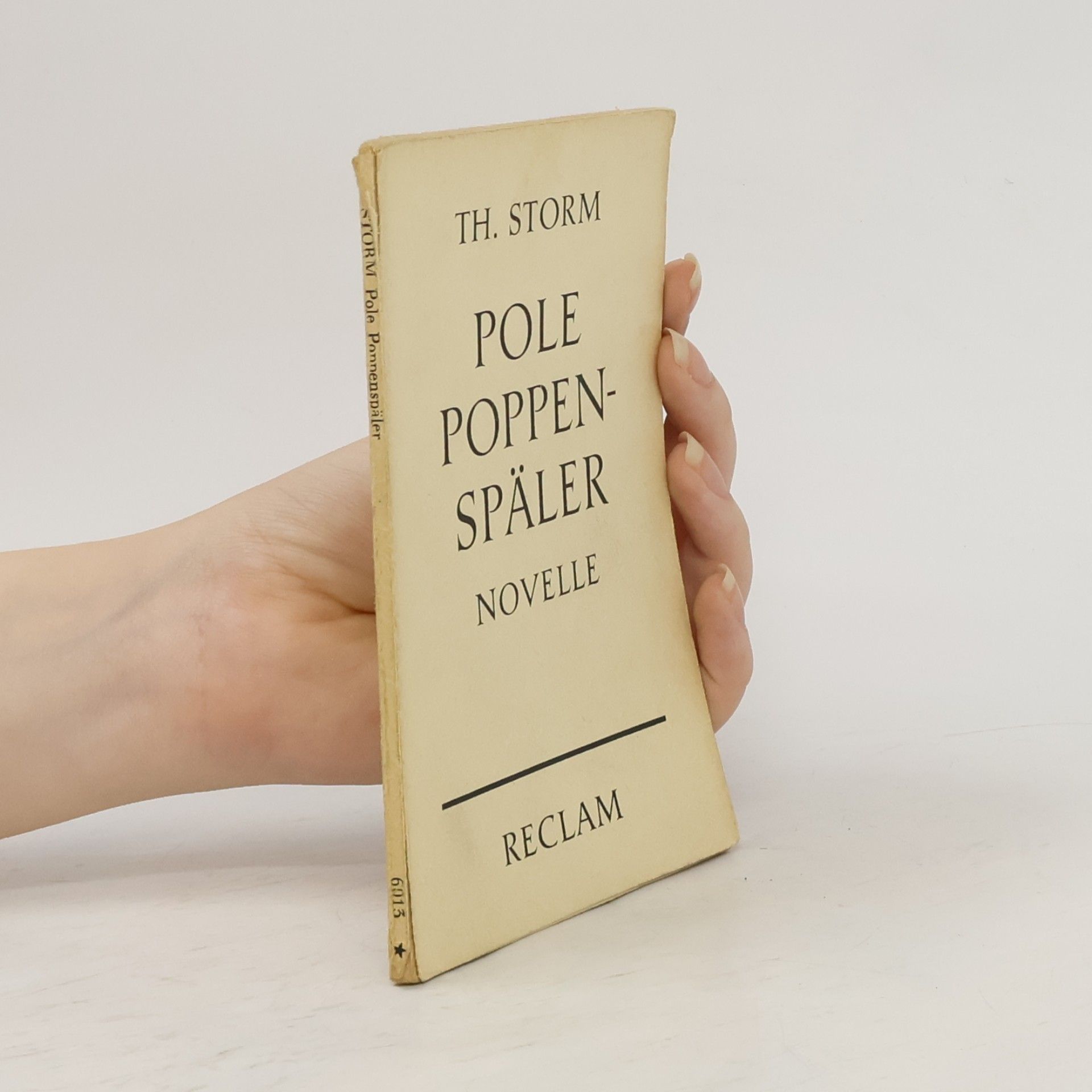 Theodor Storm Pole Poppenspäler