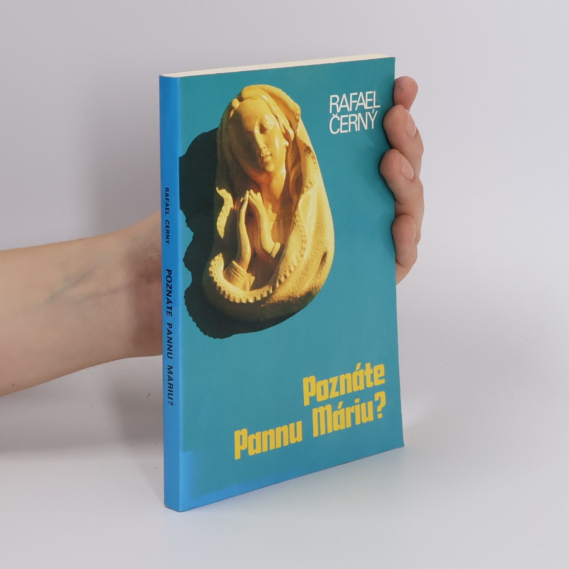 Autorenkollektiv Poznáte Pannu Máriu?