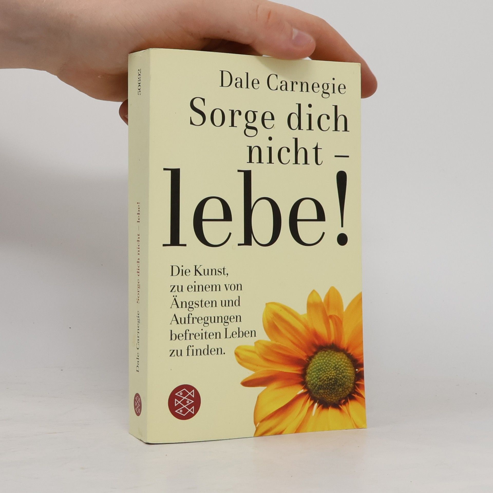 Dale Carnegie Sorge dich nicht - lebe!