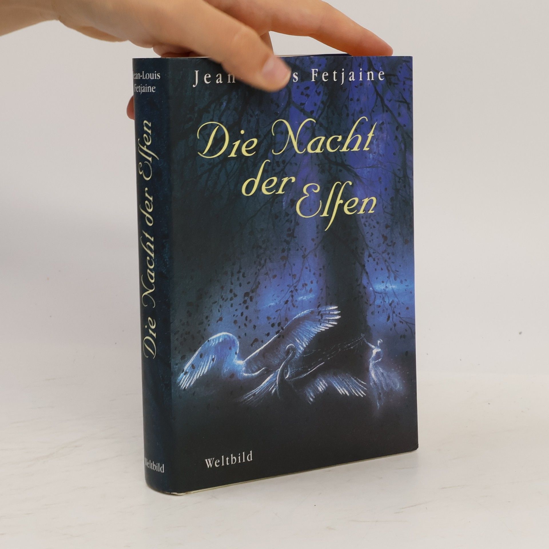Die Nacht der Elfen