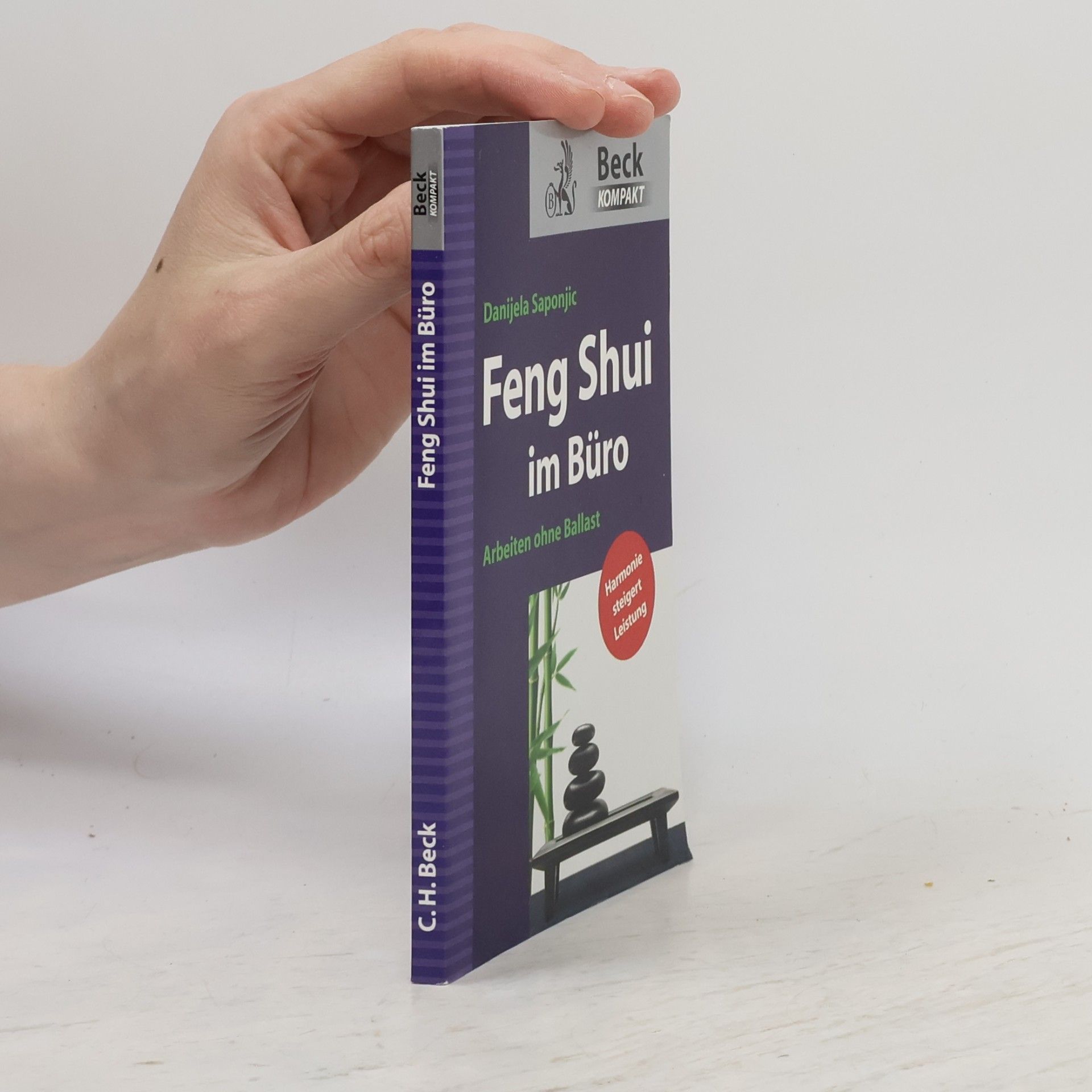 Danijela Šaponjić Feng-Shui im Büro